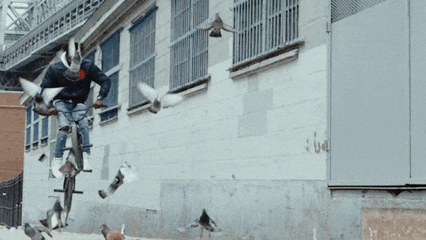 n1.gif