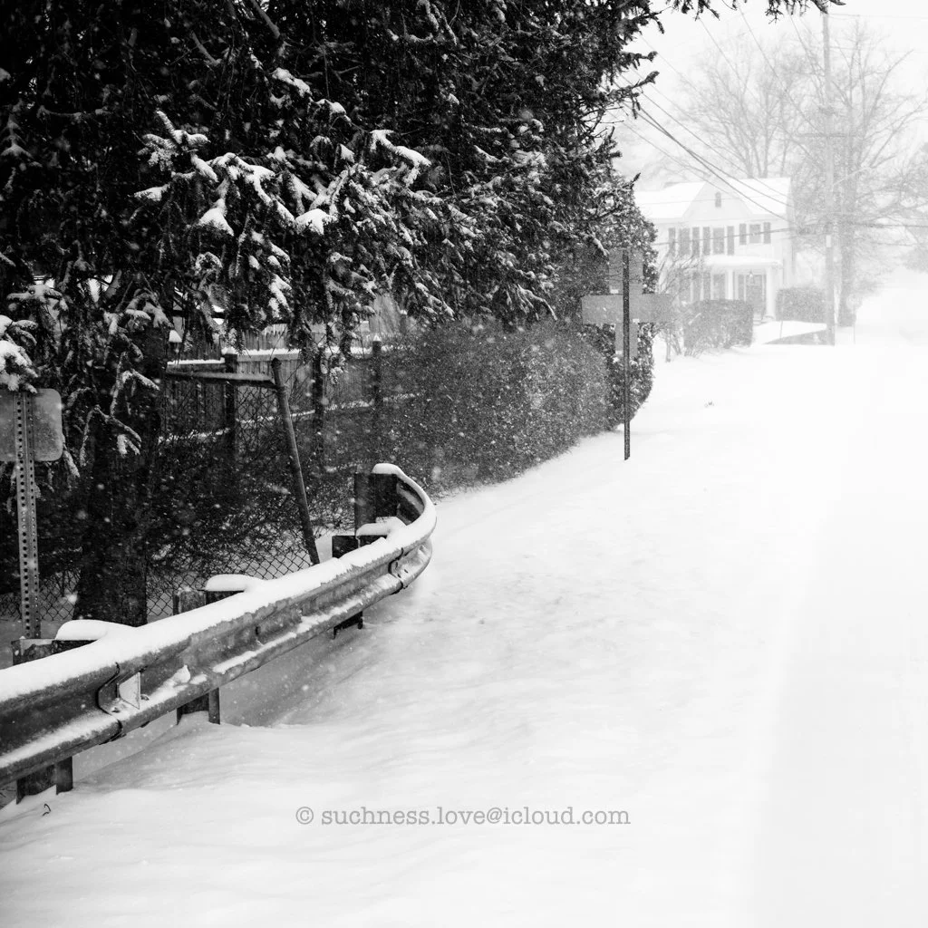 Snow-covered sidewalk and trees in a neighborhood during a blizzard, with a fence and a street sign visible in the foreground.