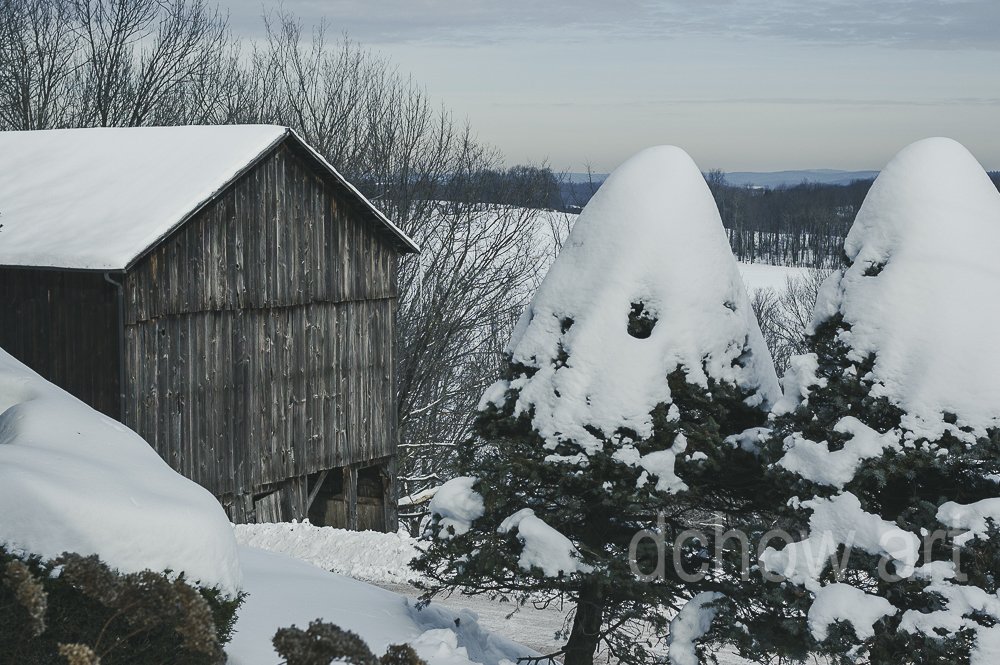 Honesdale Farm, 2008.