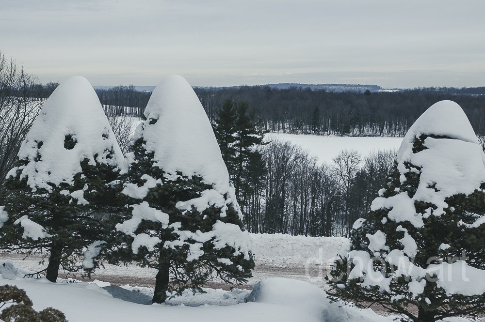 Honesdale Farm, 2008.