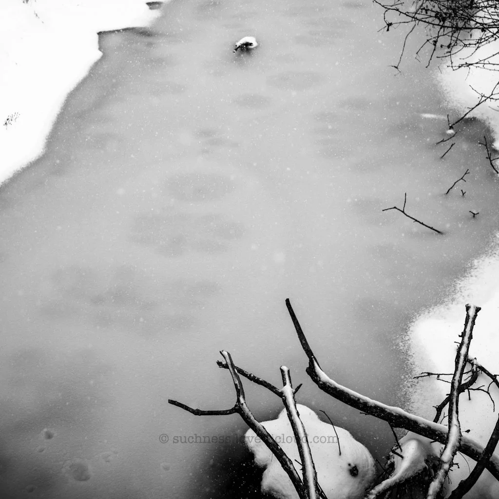 Snow-covered riverbank with ice and snow on the ground, bare tree branches leaning over the water, and snow falling on the scene.