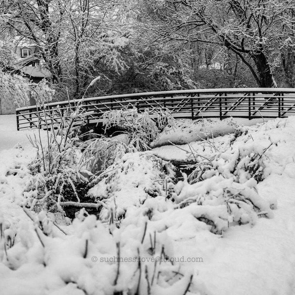 Snow-covered bridge in a winter landscape, with snow-laden trees and bushes surrounding a small stream.