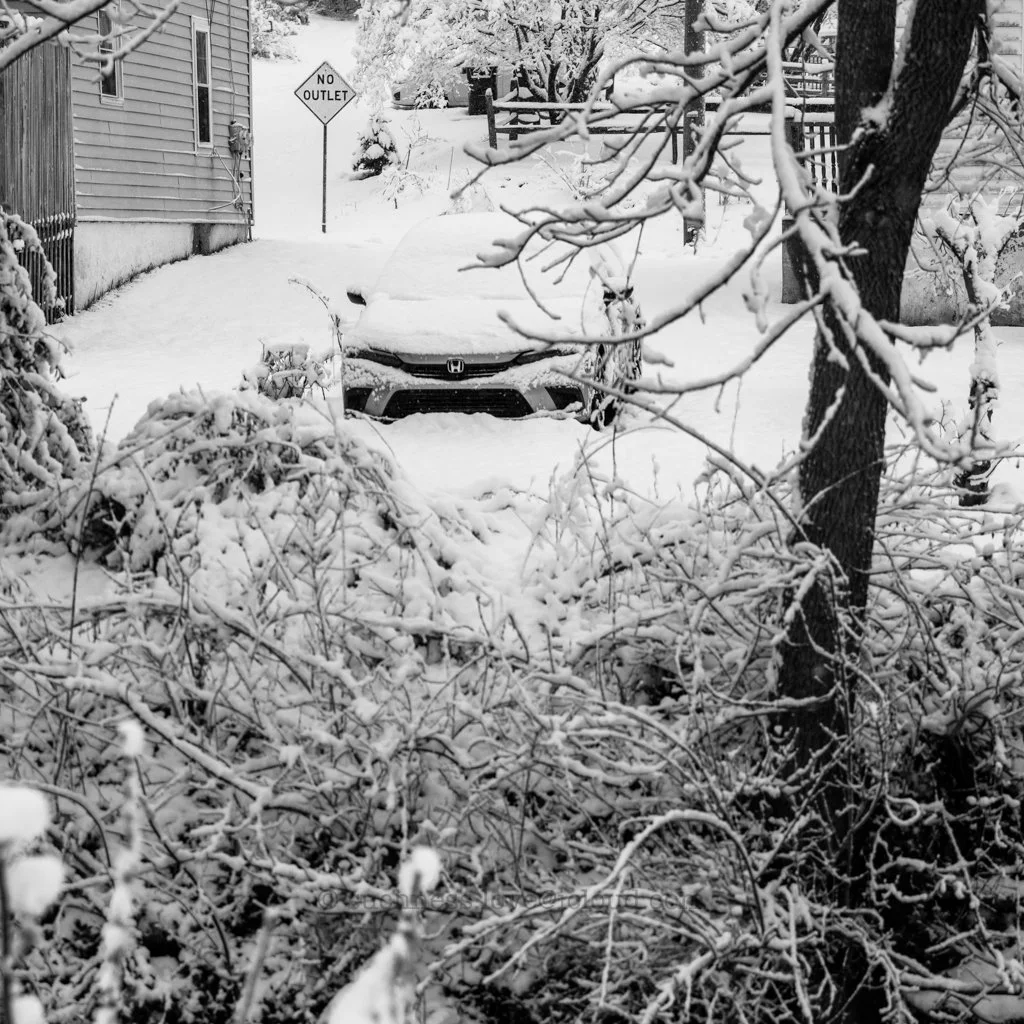 A snowy scene showing a car partially covered with snow parked in front of a house, with snow-covered trees and bushes in the foreground. There's a 