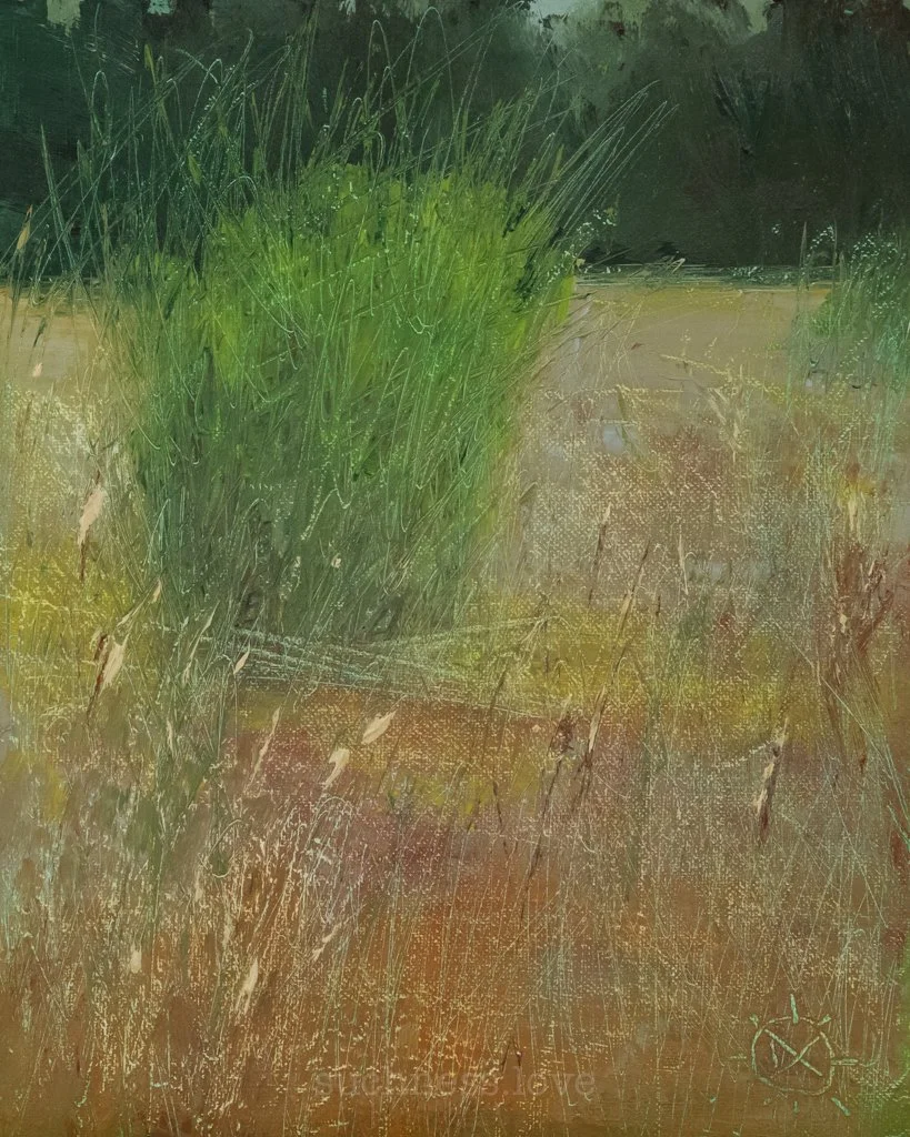 Glass window with rain streaks and a blurred view of green grass outside at night.