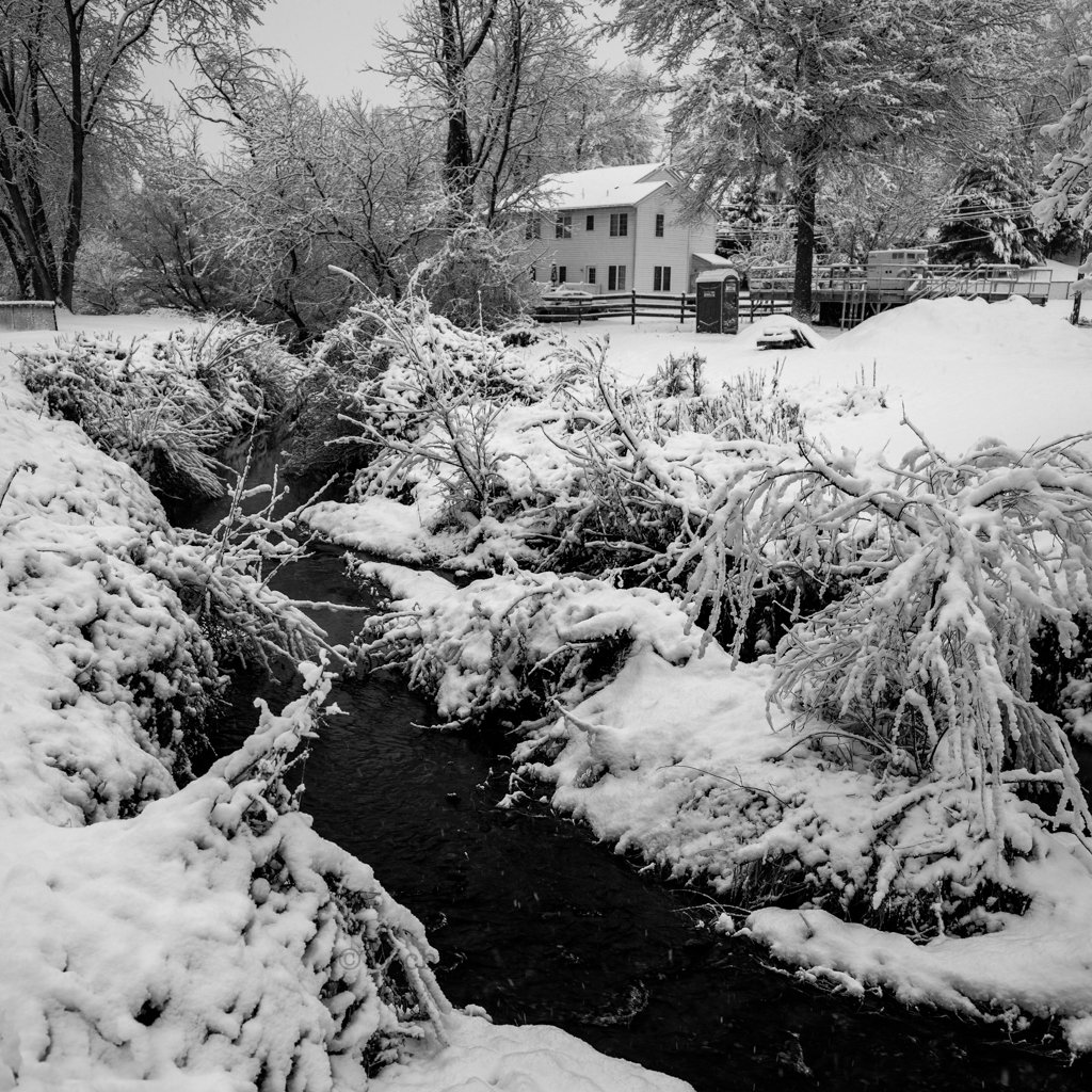 Snow-covered landscape with a creek, trees, and a house in the background.