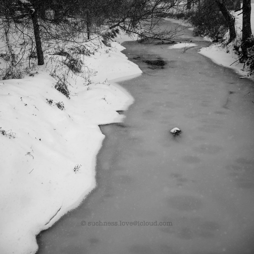 Snow-covered bank and trees alongside a partially frozen river in a winter landscape.