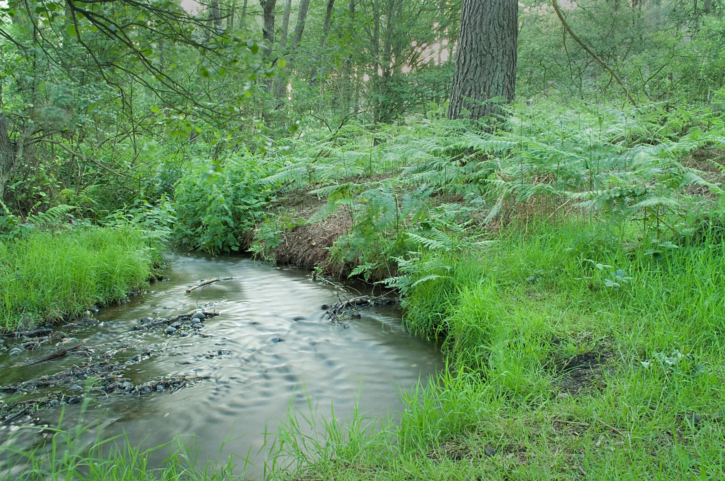 DSC_0522.jpg