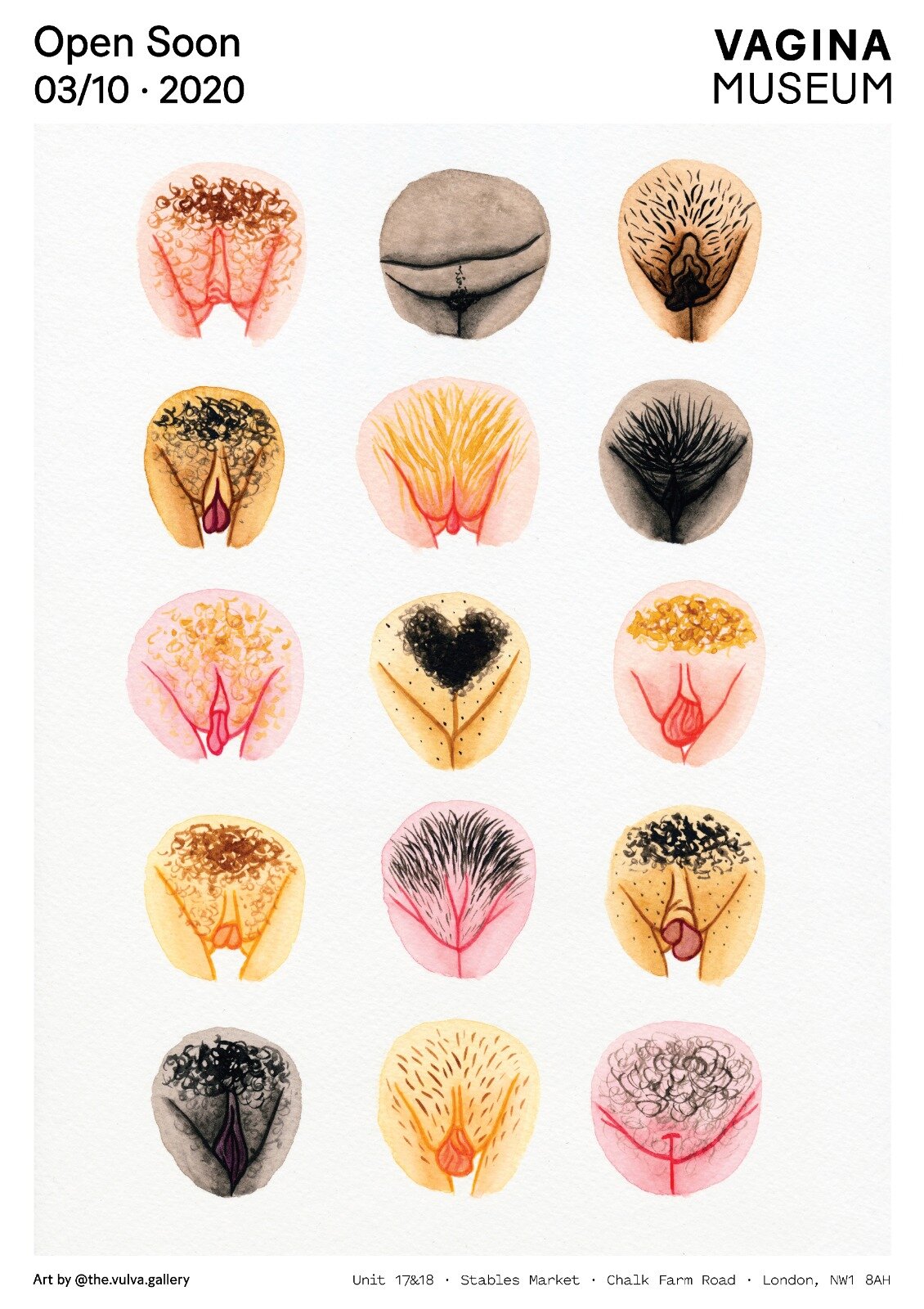 Different Shapes Of Pussy
