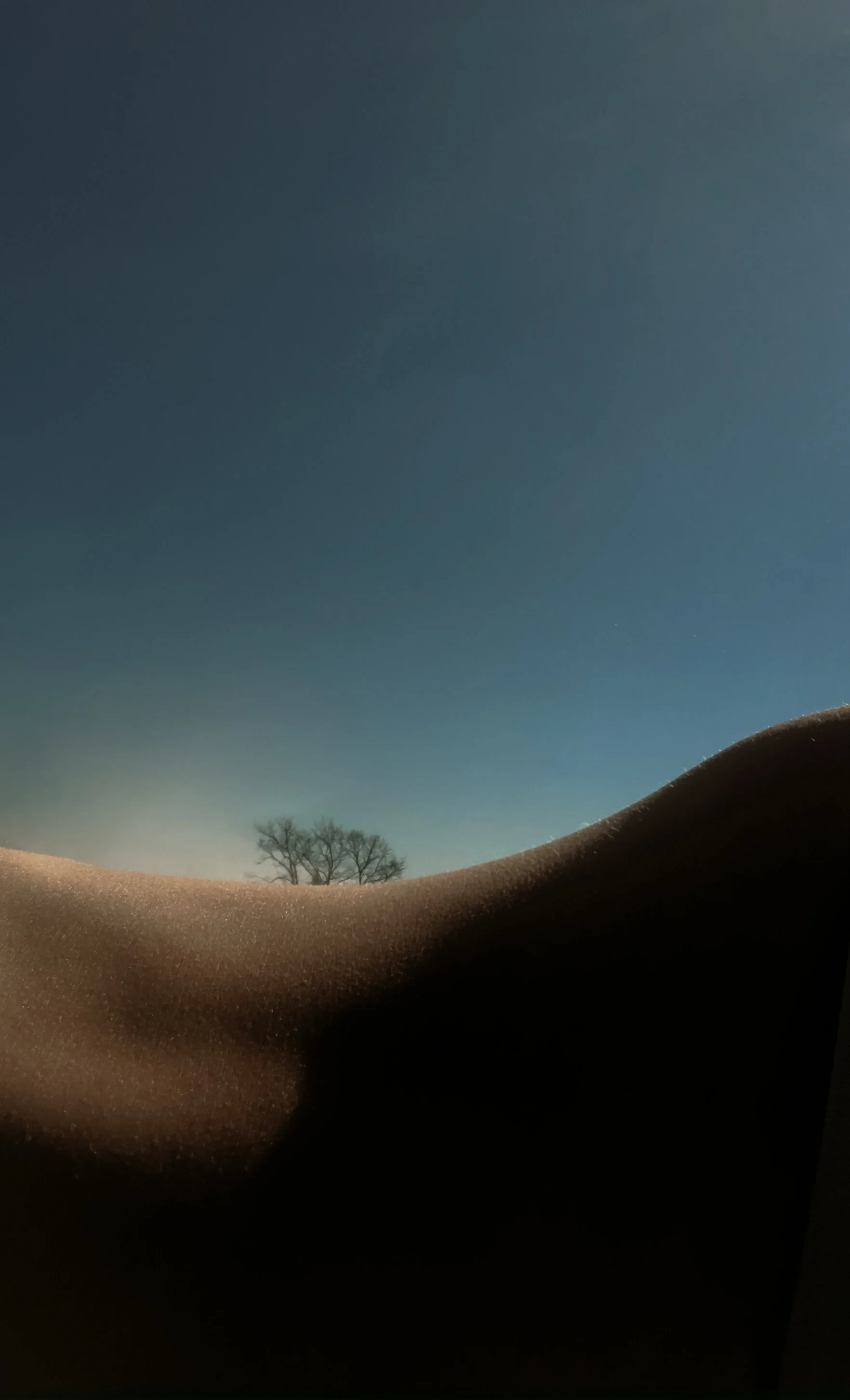 bodyscapes-AnastasiaEgo-12.jpg