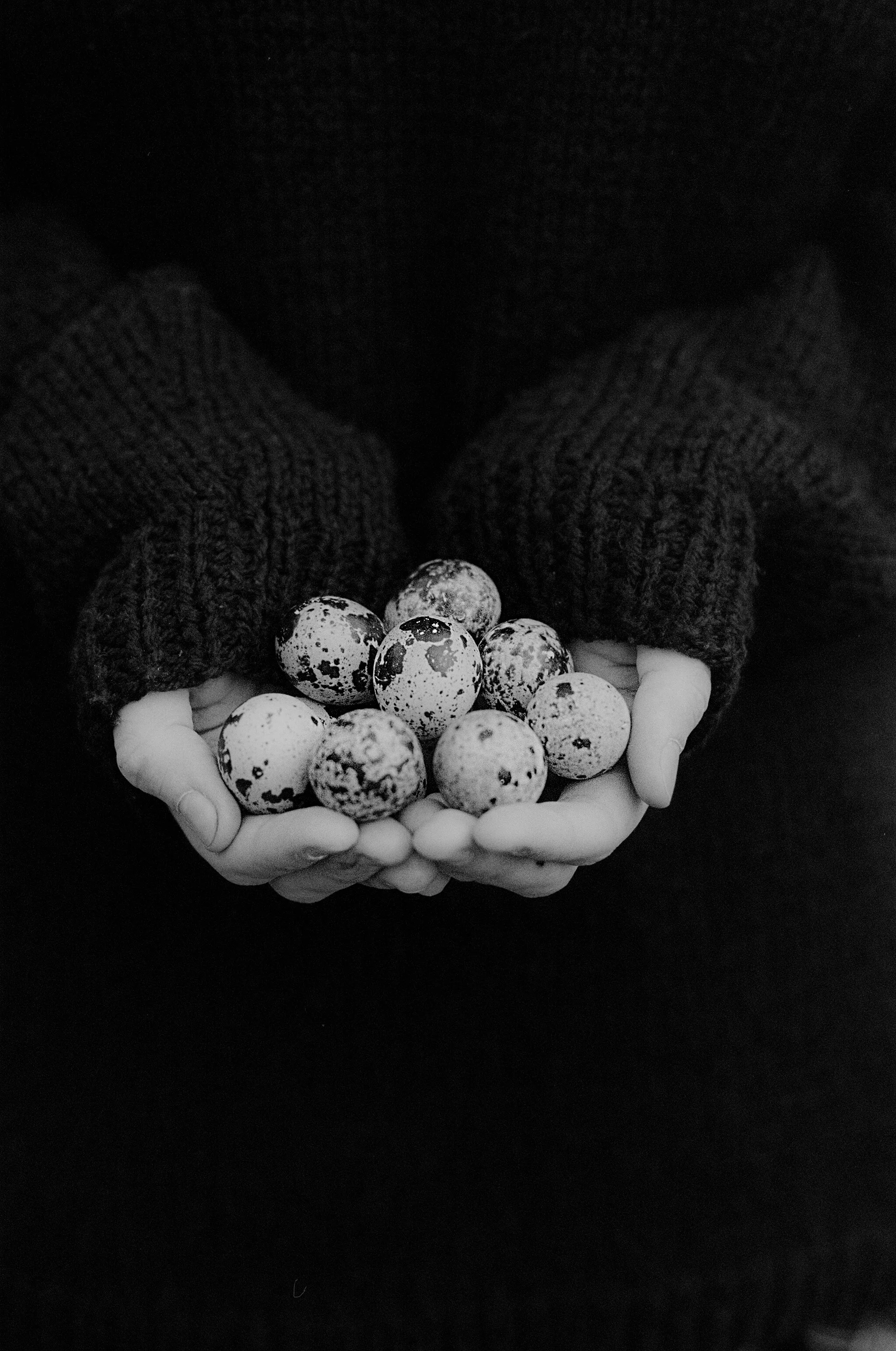 KATE-eggs-18.jpg