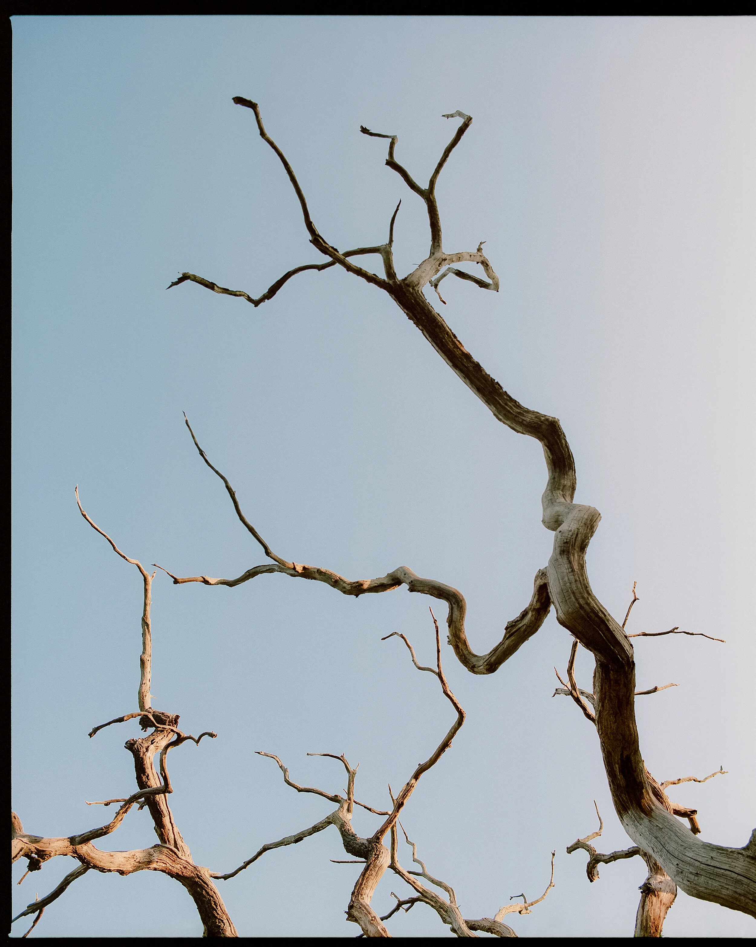 OWOI-0721-Begg_Co-39-EDIT.jpg