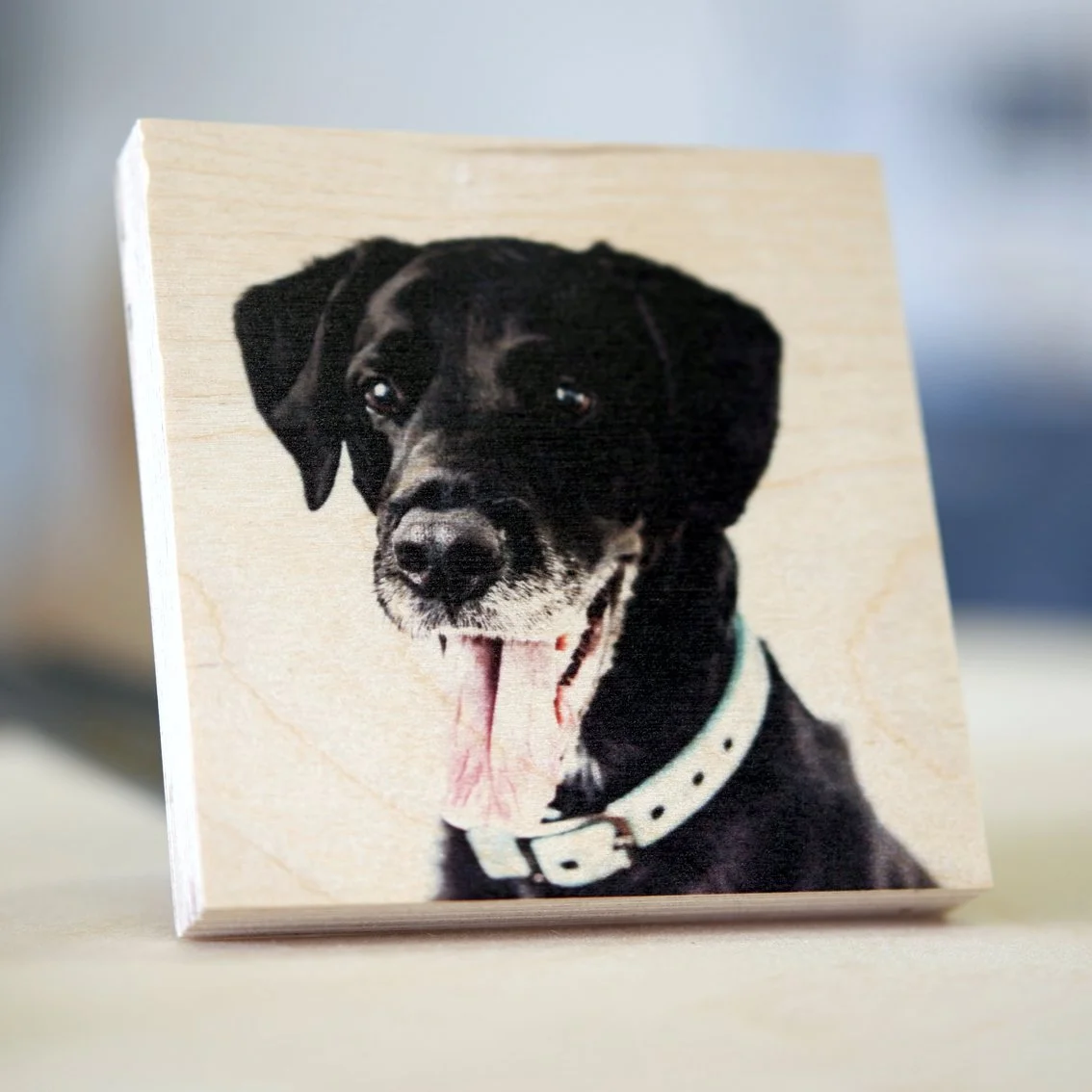wood print - custom photo - pets - animals - dot laser