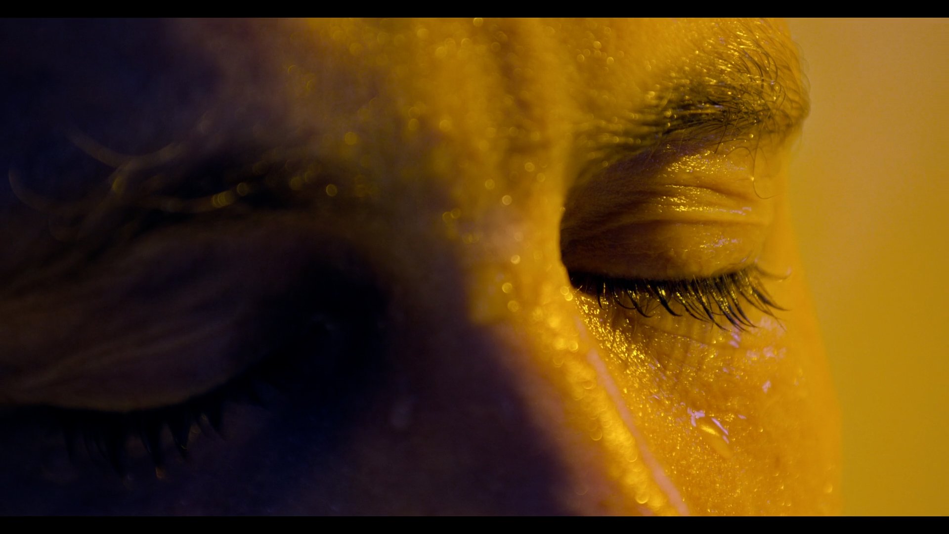 love_grove_-_full_version (1080p).00_05_55_10.Still017.jpg