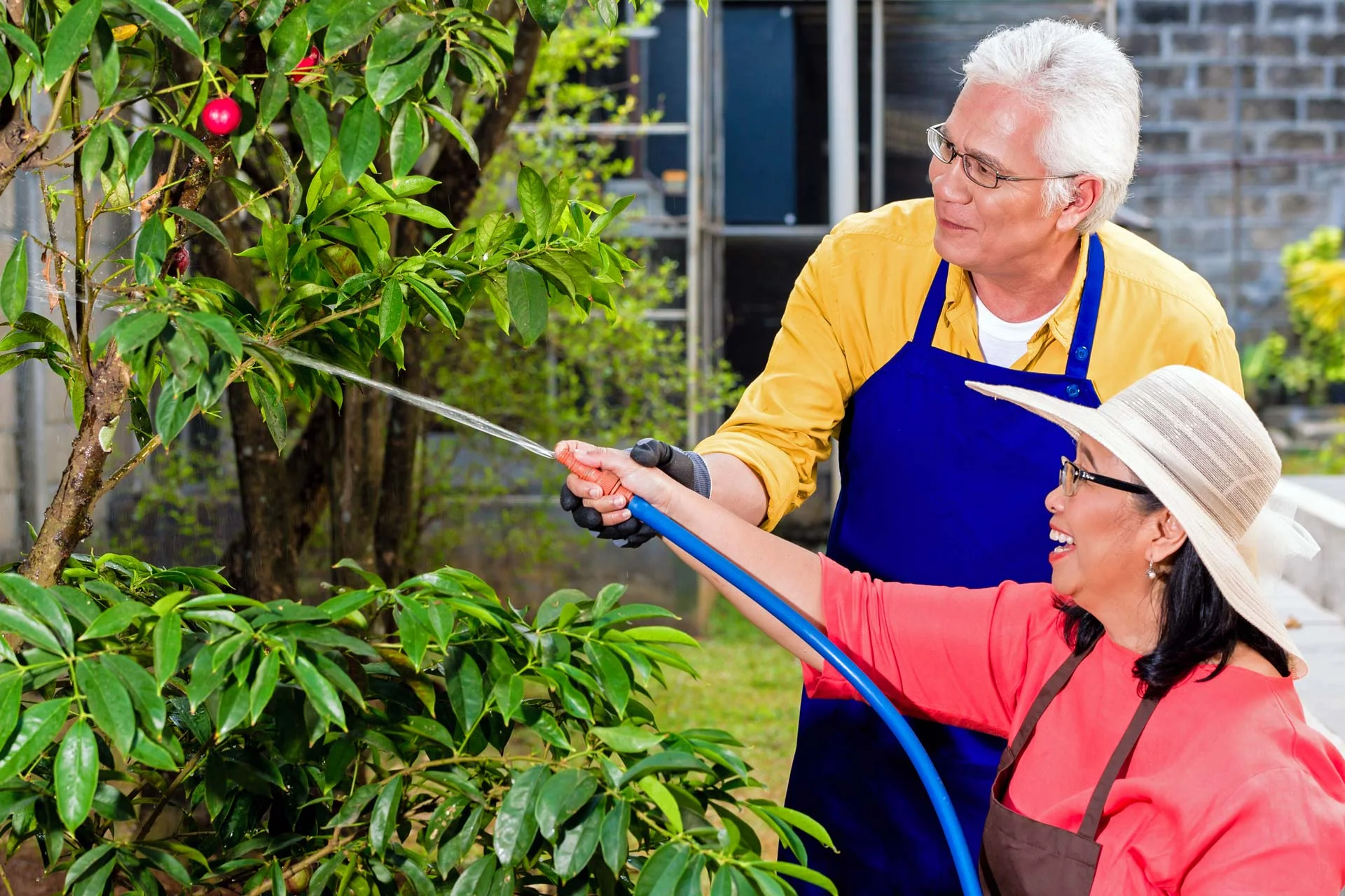Low Maintenance Aging In Place Landscape