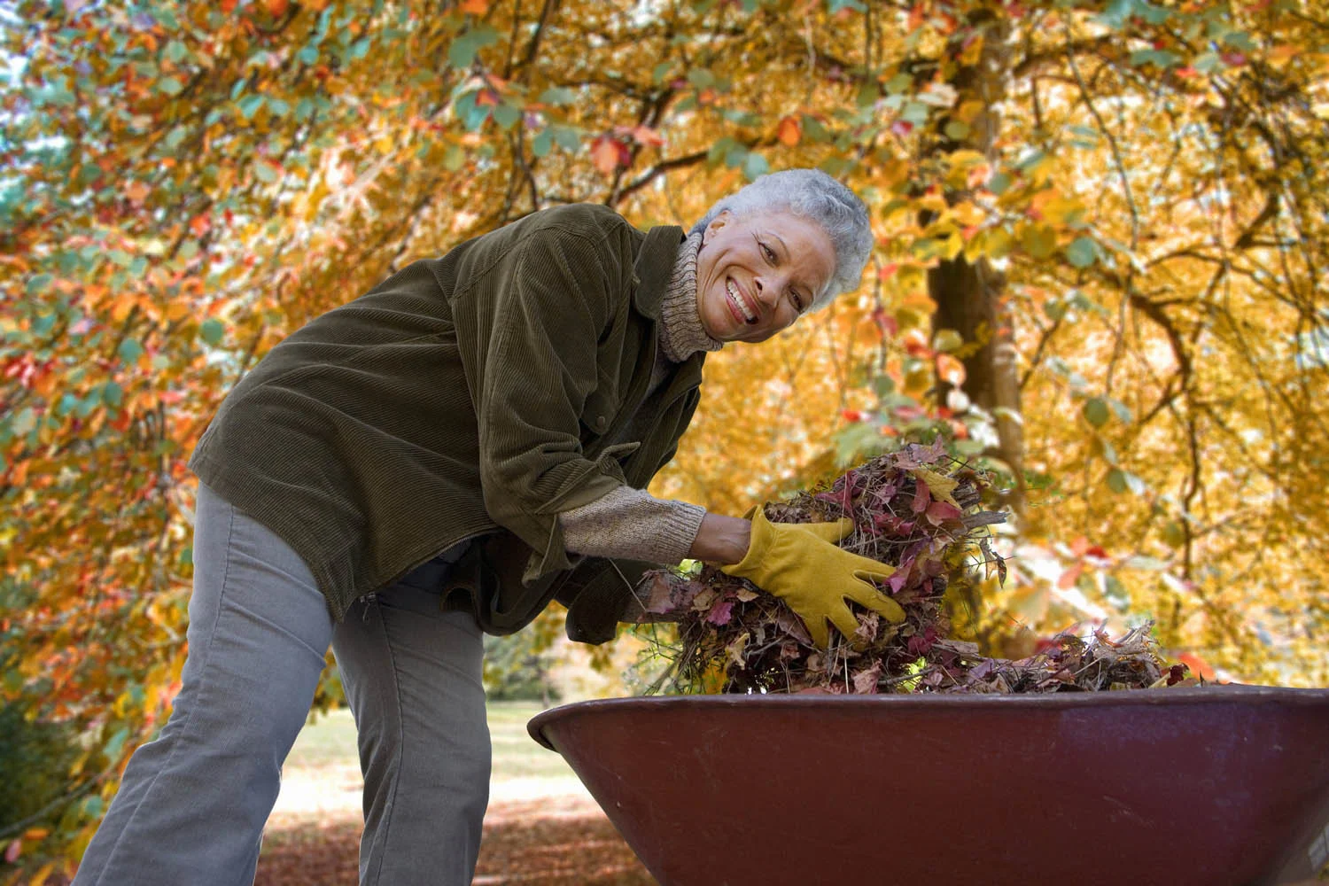 Aging-in-Place Garden and Landscape Design