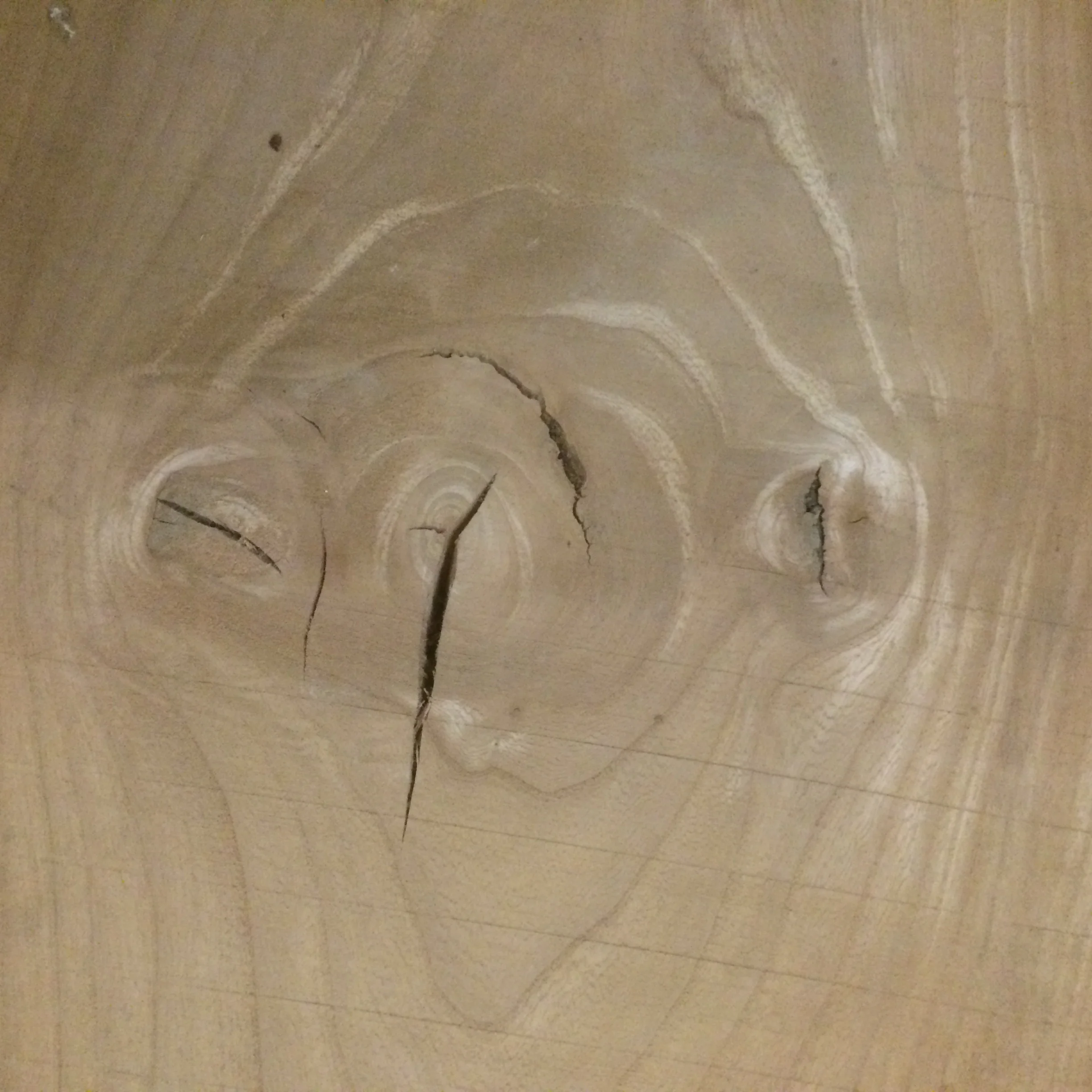 Sid