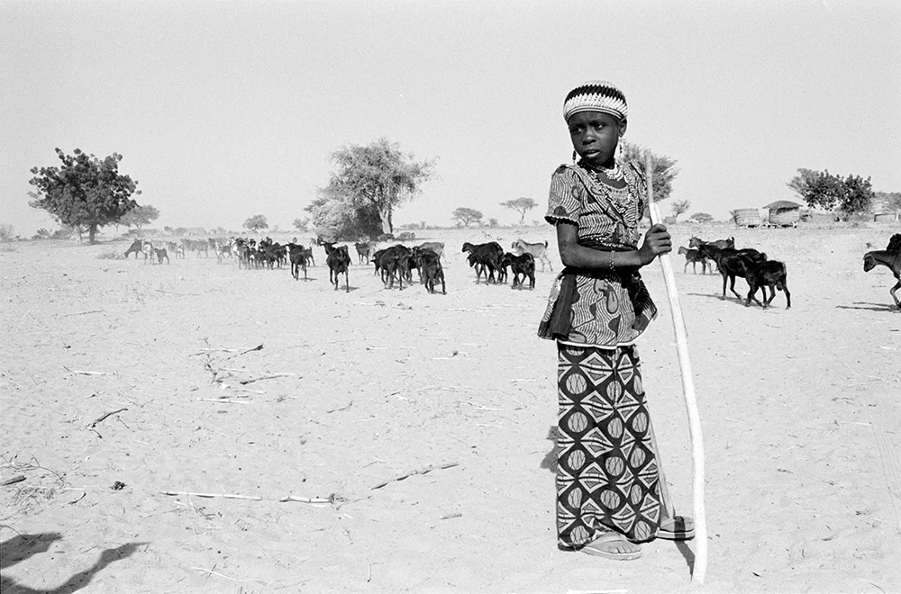 DAN-A36-22W copy.jpg
