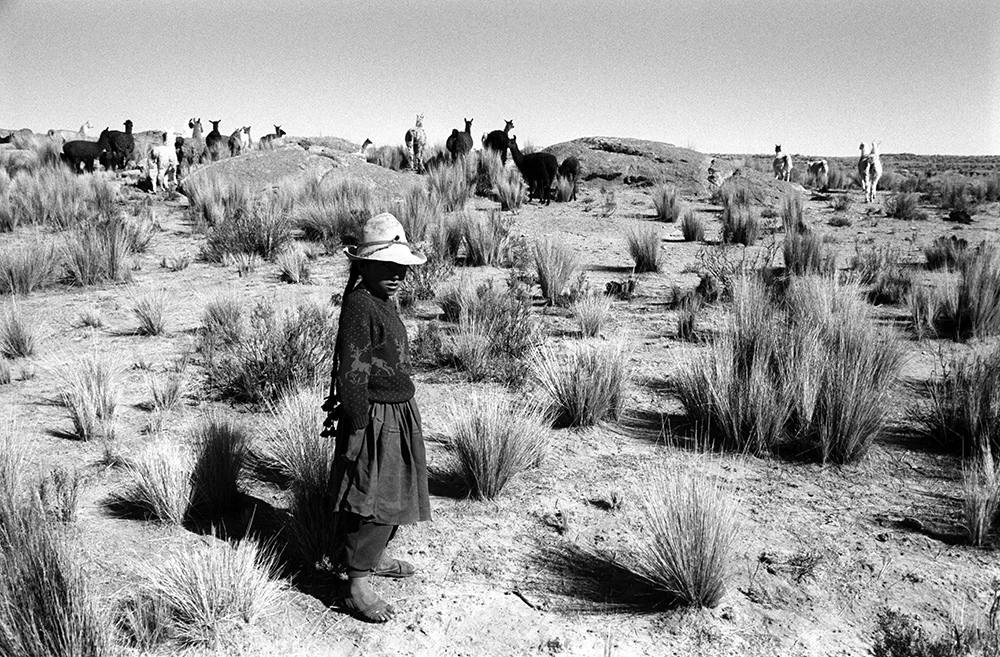 Eugenia 10, Bolivia 2005