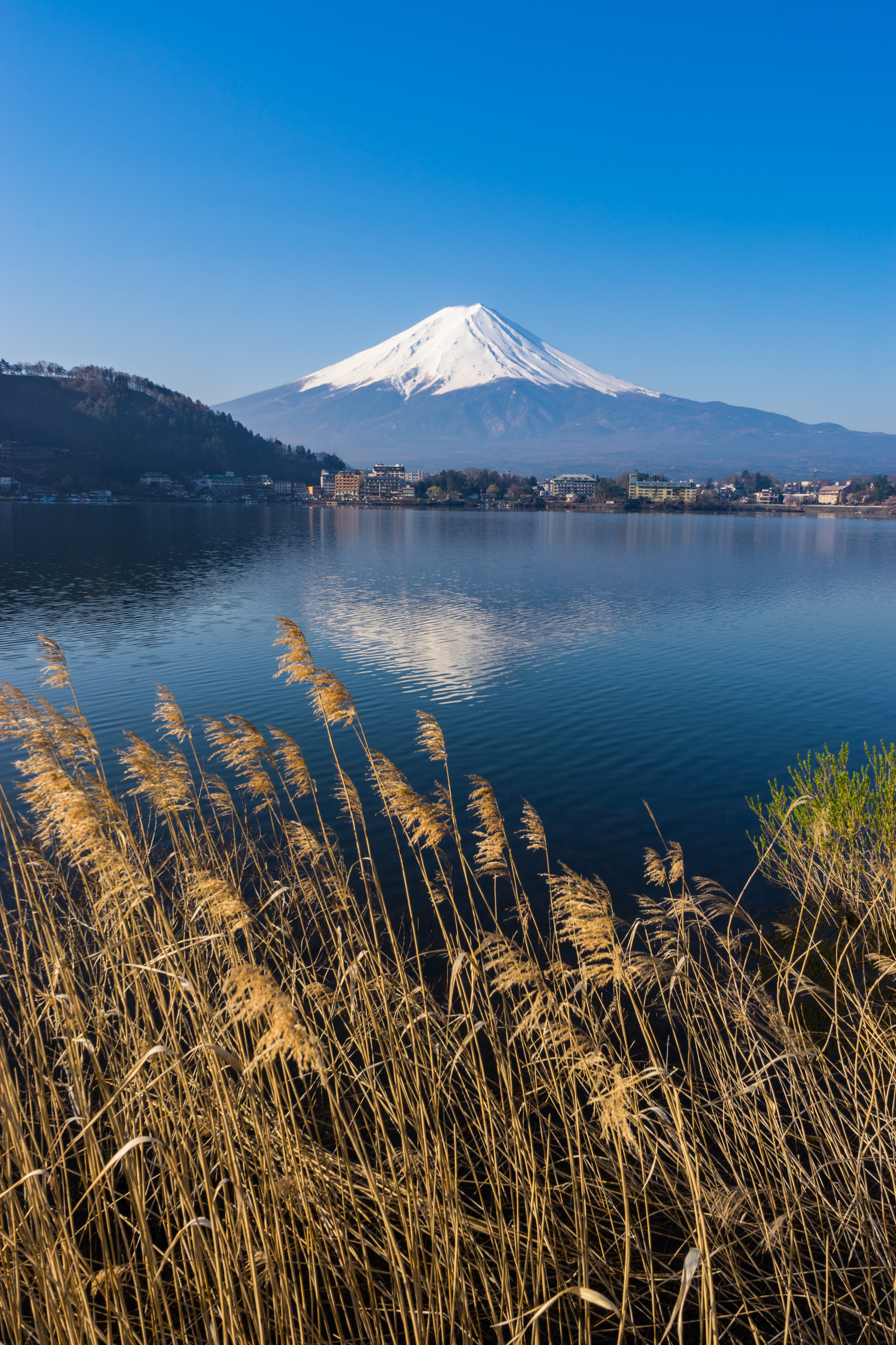 Mt. Fuji, Lake Kawaguchiko