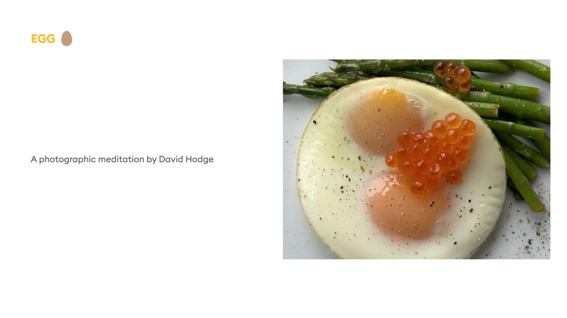 EGG_Presentation_051924.002.jpeg