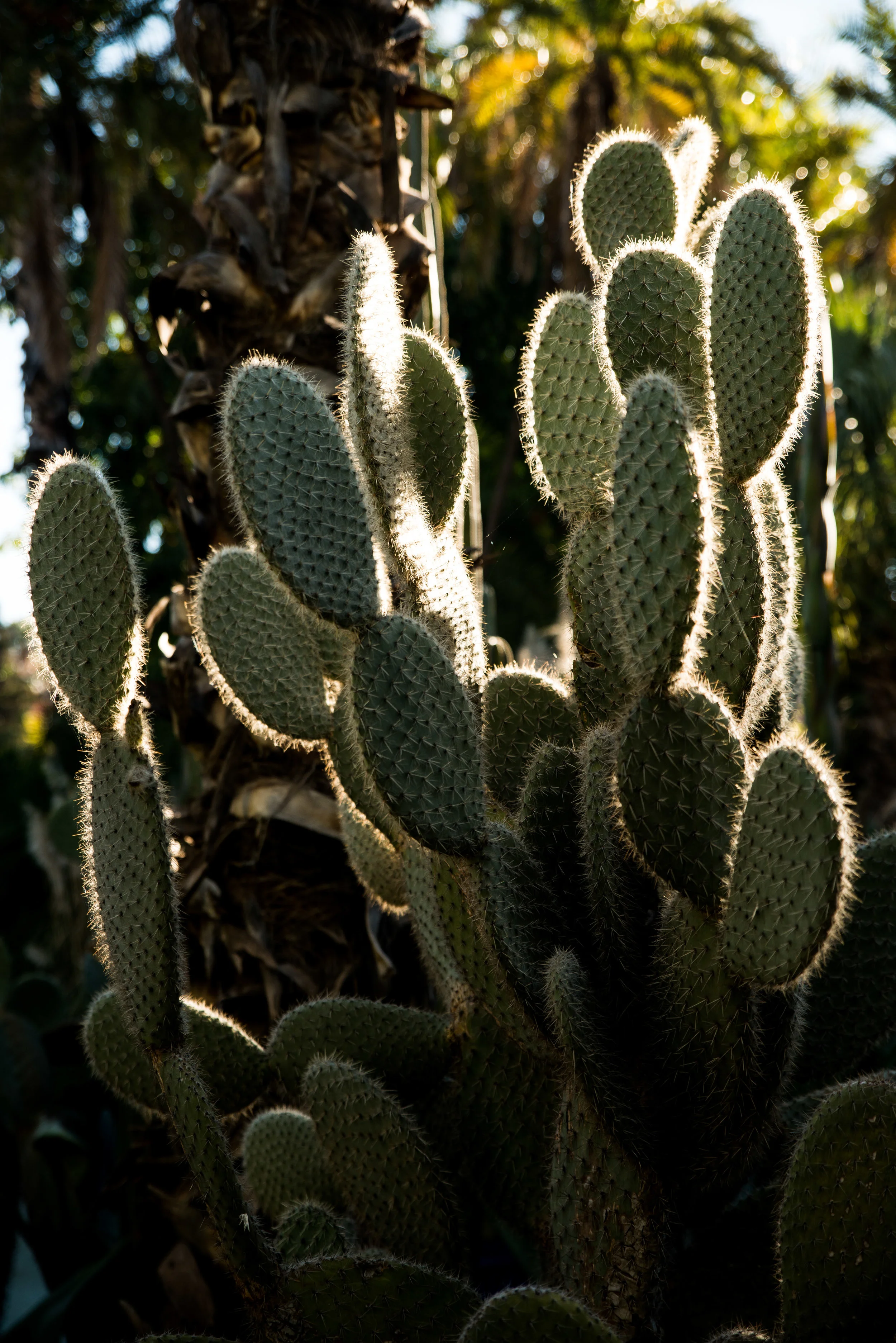 LGP_5925-72.jpg