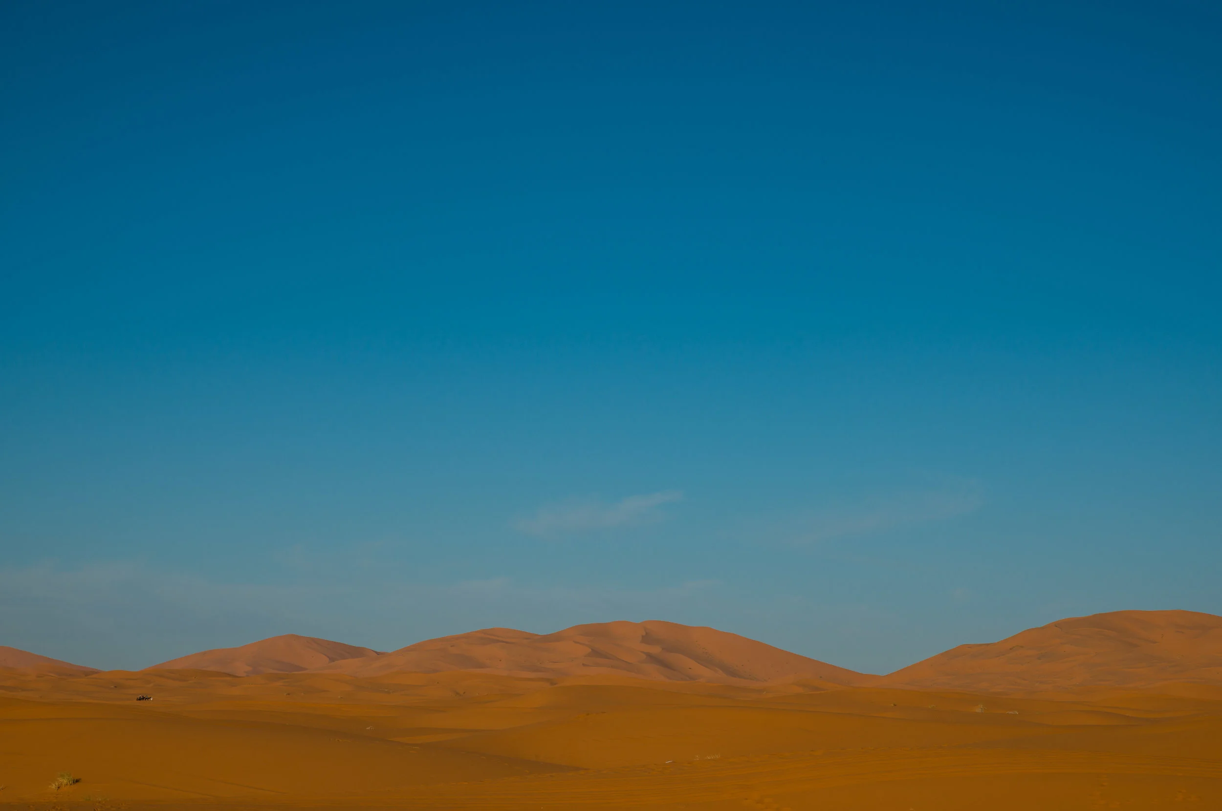 LGP_6520-217.jpg