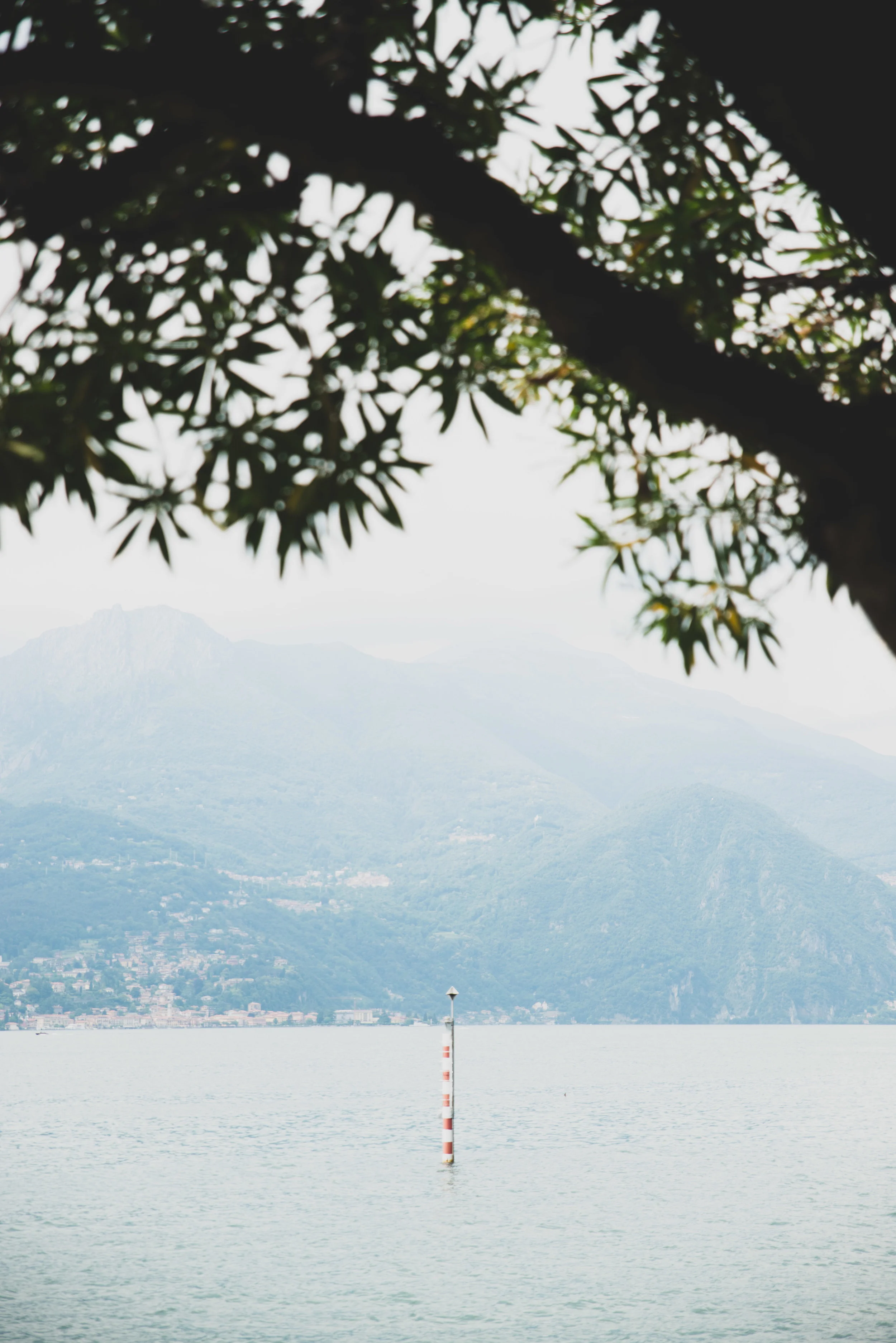 LGP_0129-3.jpg
