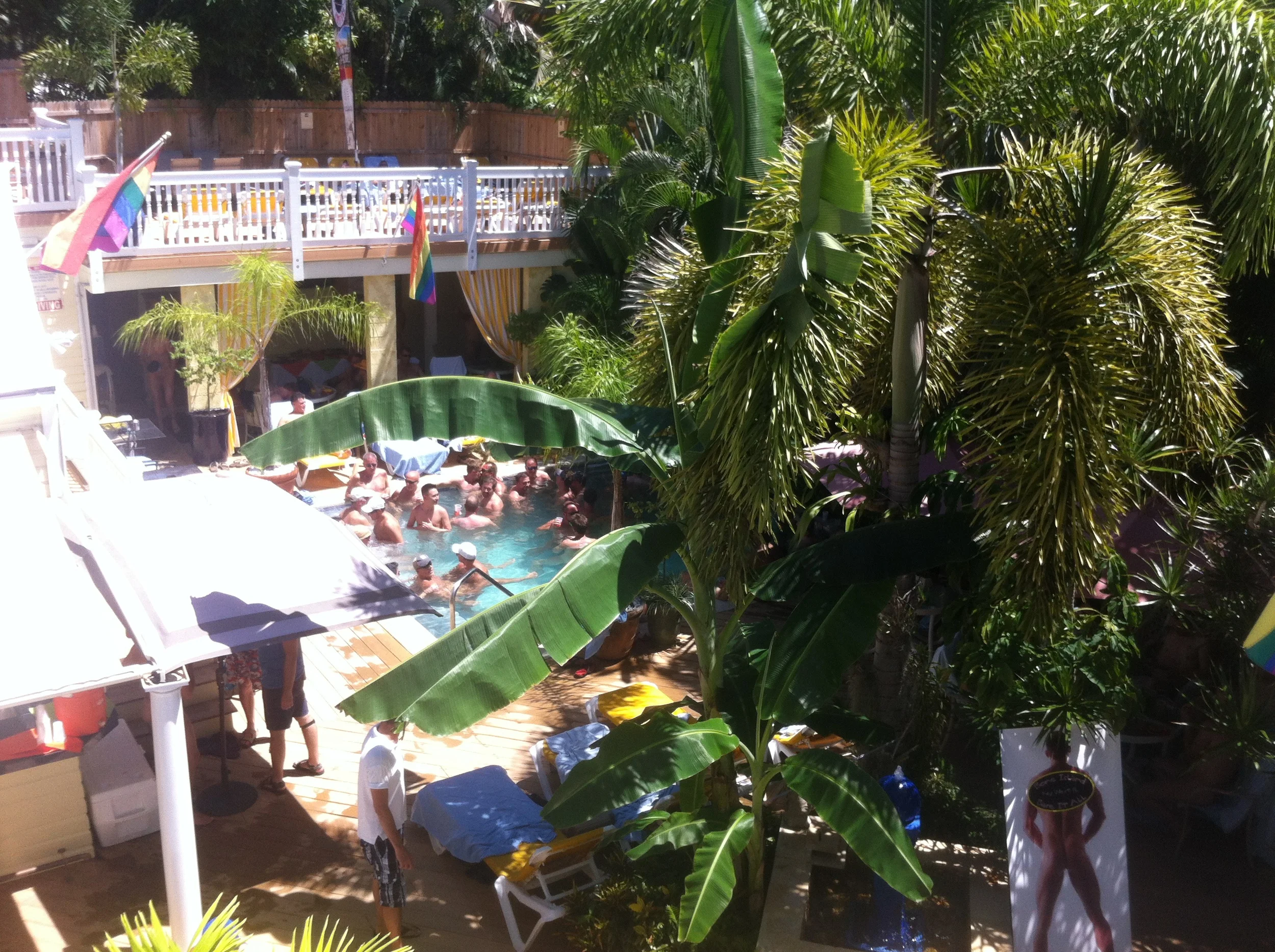 Gallery — Bone Island Bare It All