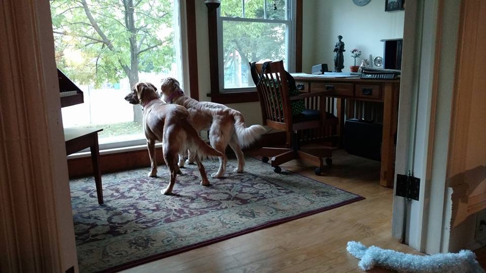 Two peas in a pod!
