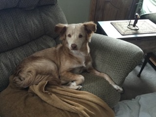 ellie.1.jpeg