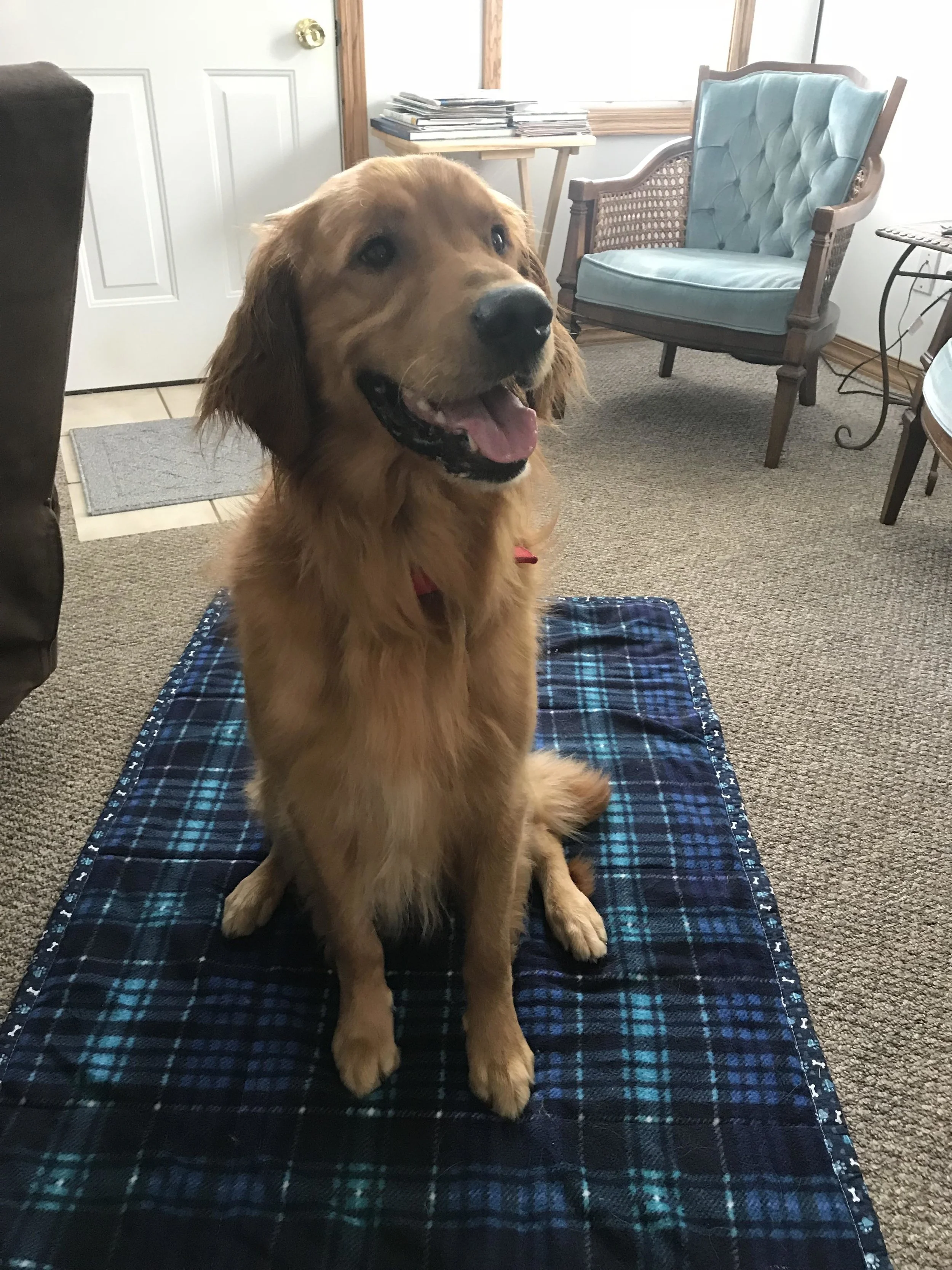 Jase with new blanket from Weihers.jpg