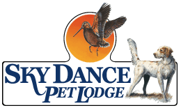 logo_skydance.gif