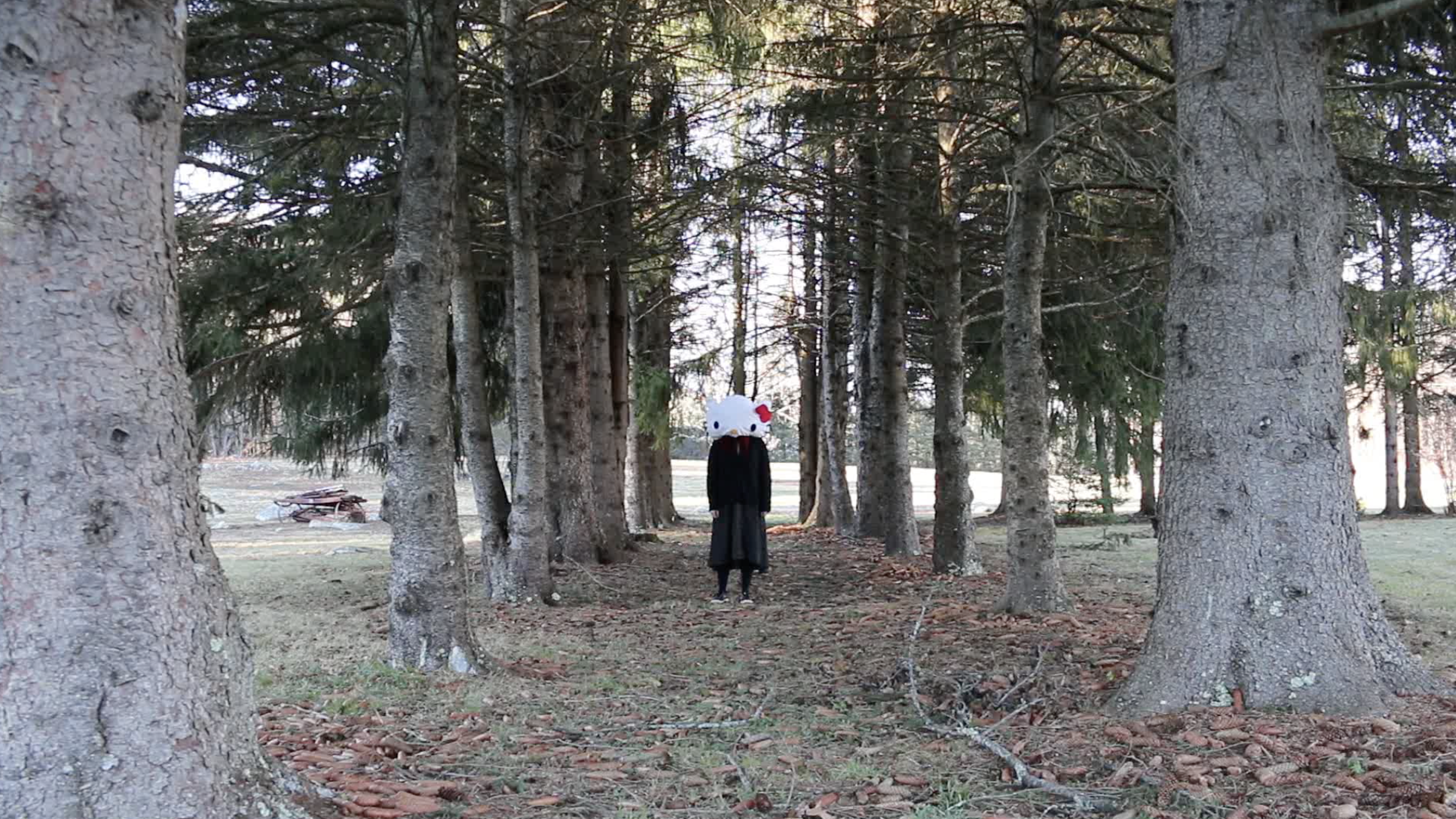    Hello Allée  , single channel video, 2017 [still]. 