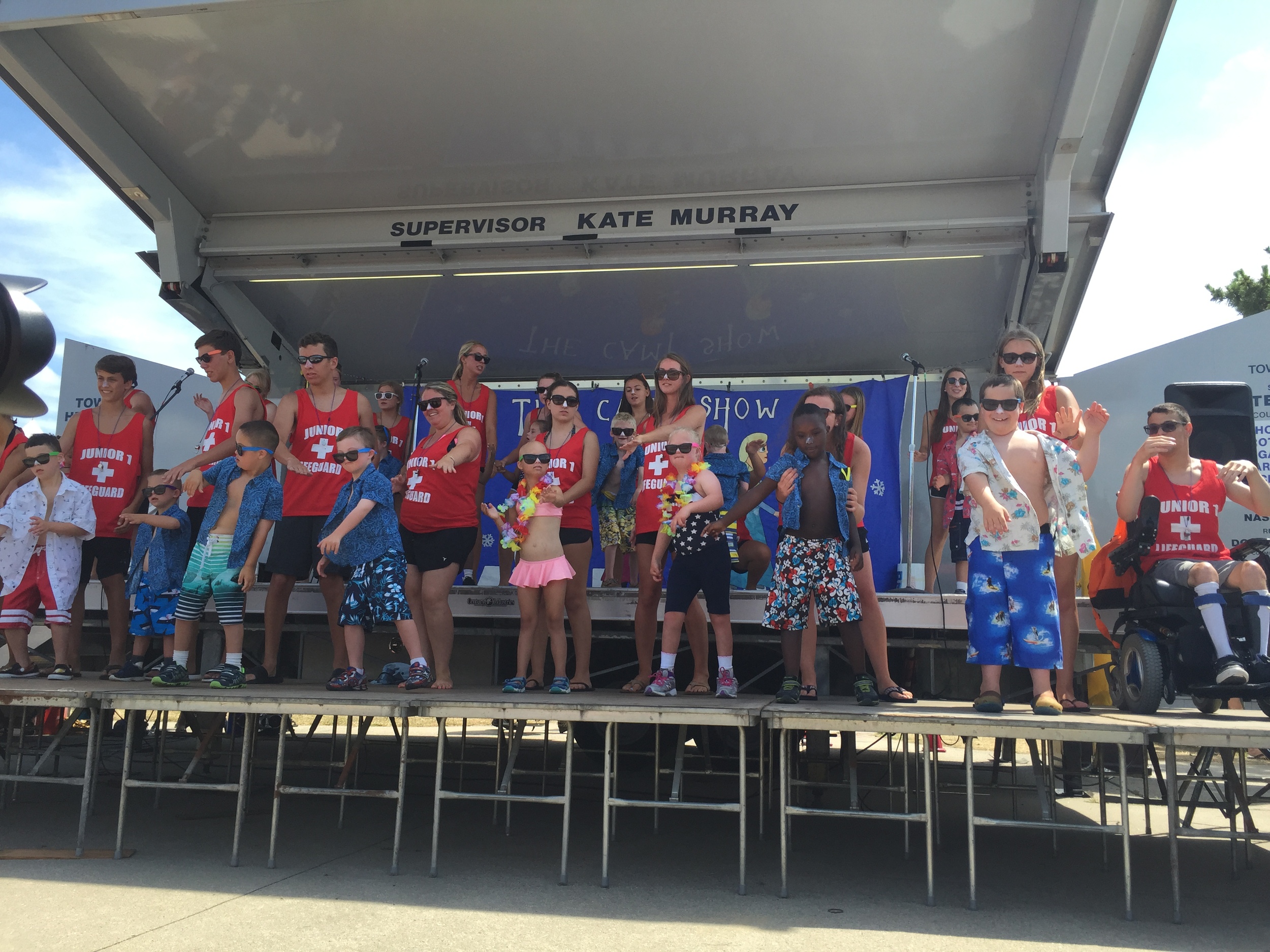 Summer 2015 — Anchor Program Fund