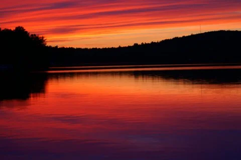 ______________________________________________