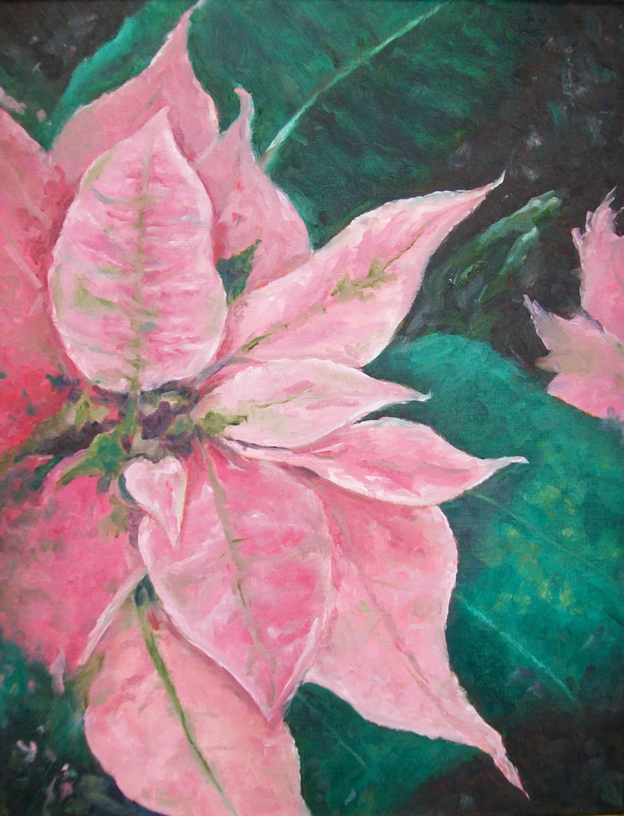 Holiday Pink