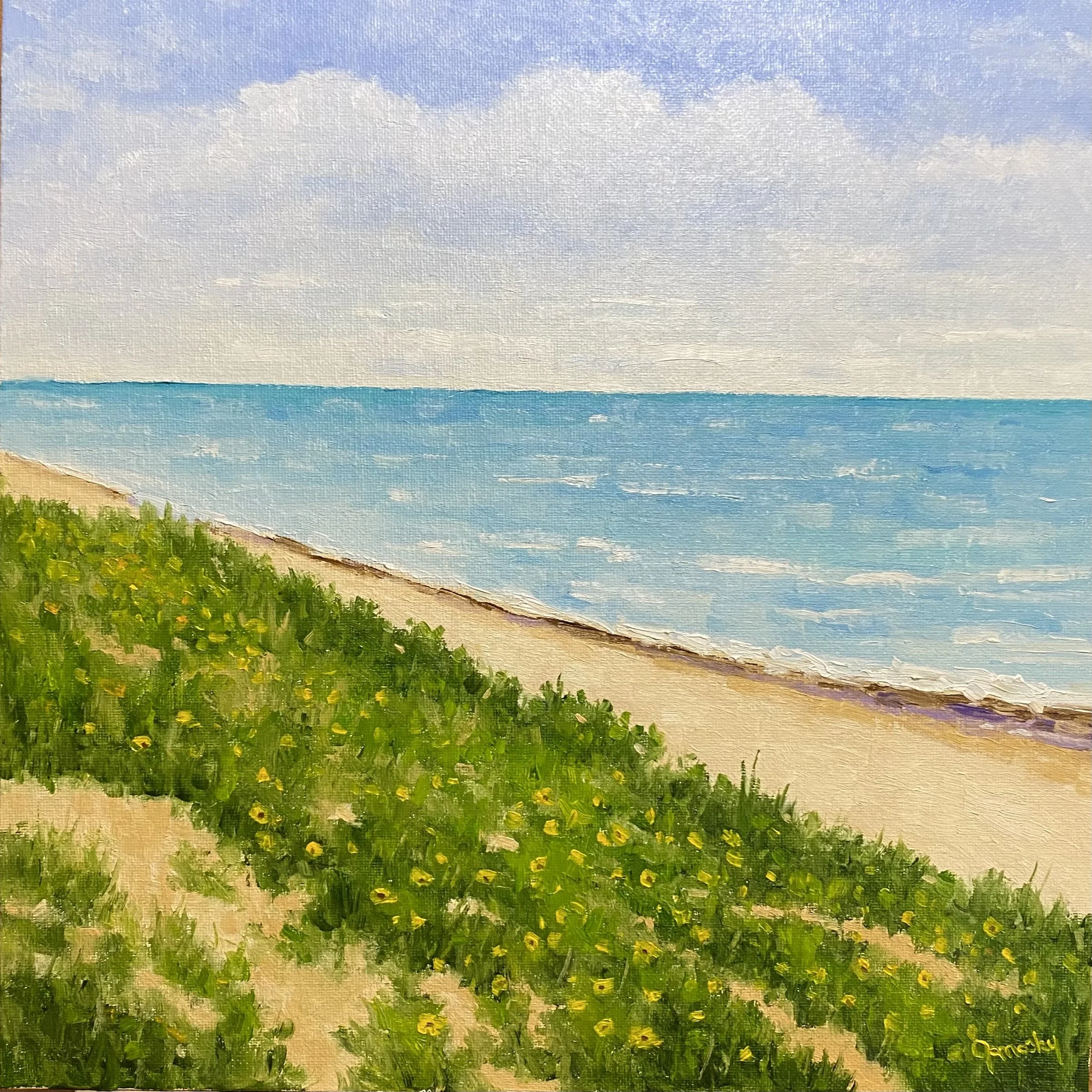 Flowering Dune, Indiana Dunes