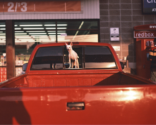    Dallas, Texas,&nbsp; Andrew Williams    Color Photography, 11"14"  