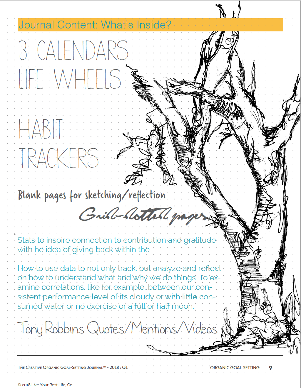 creative organic goal setting journal tony robbins new years resolutions.png