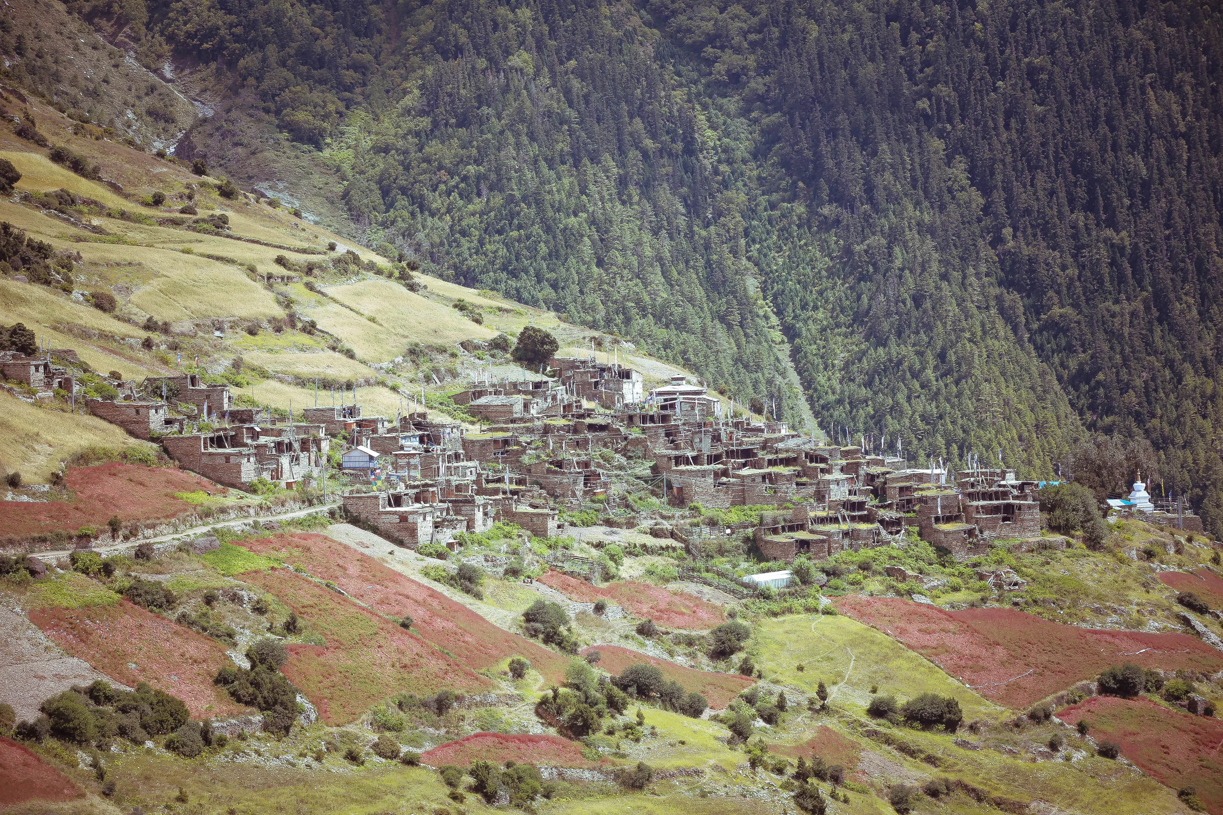 nepal_web-103.jpg