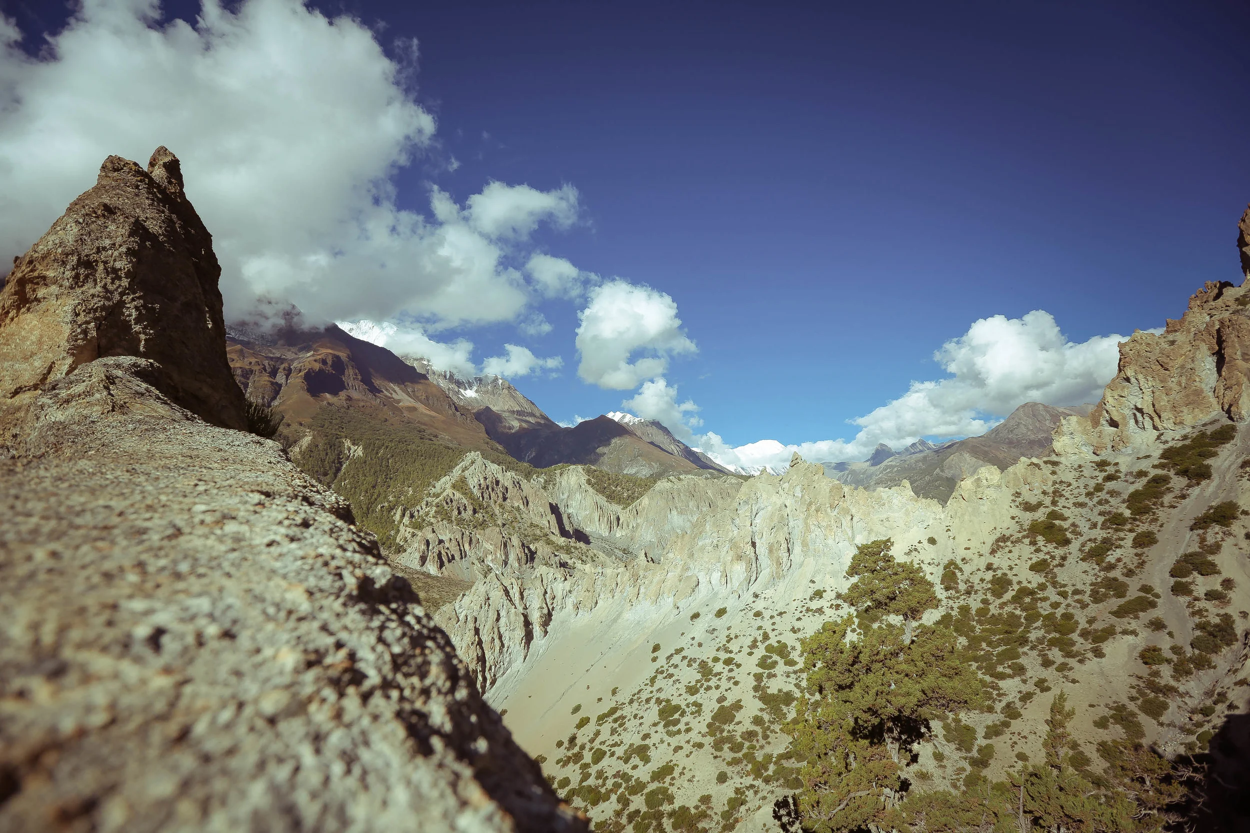 nepal_web-110.jpg