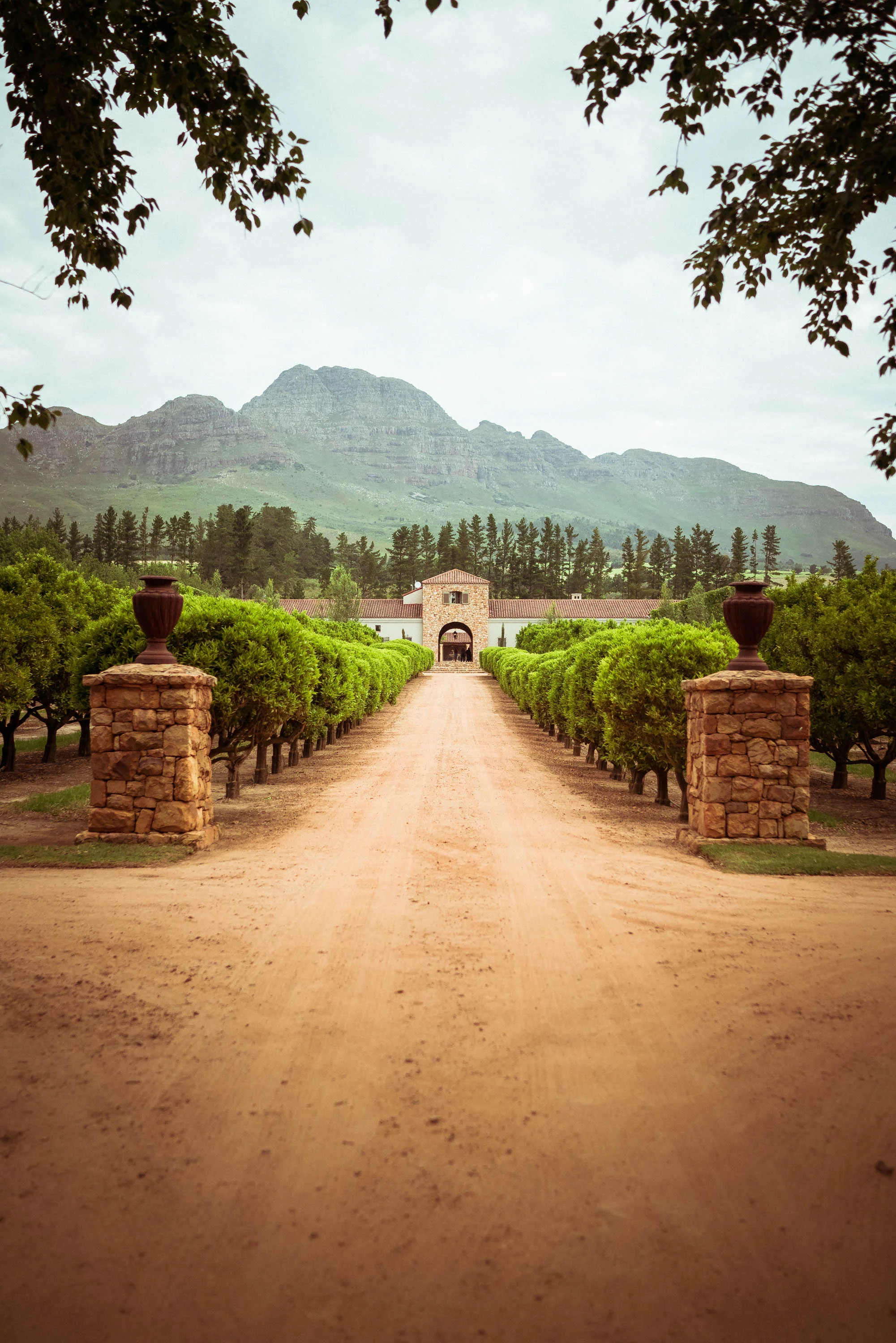 capetown_web-57.jpg