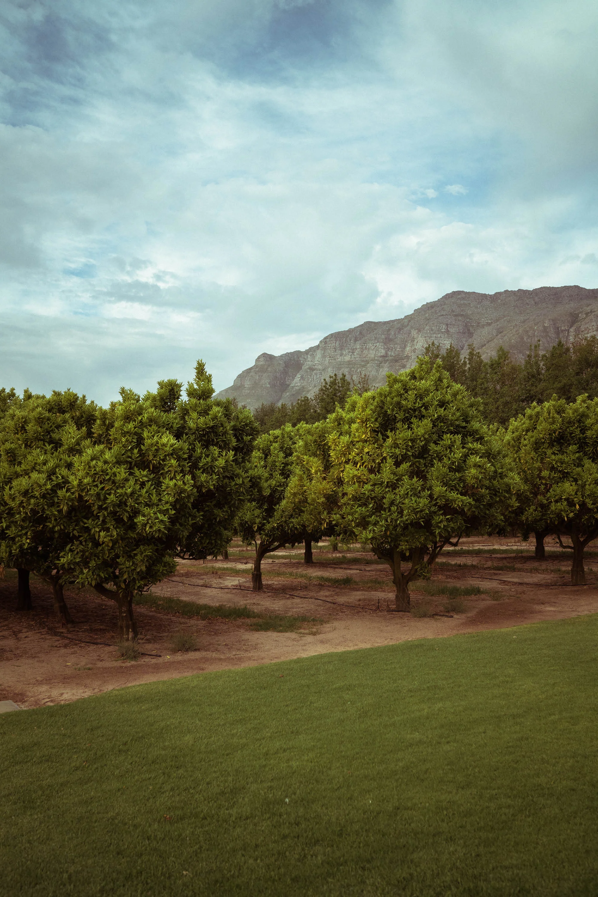 capetown_web-71.jpg