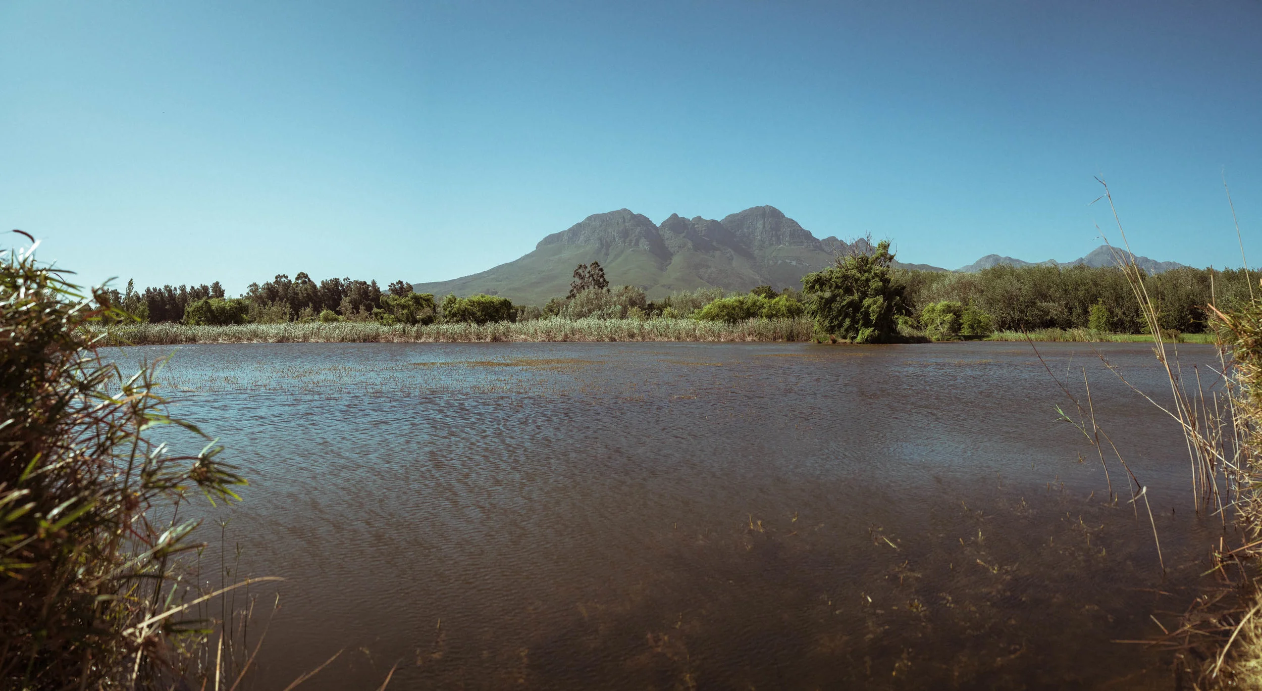 capetown_web-72.jpg