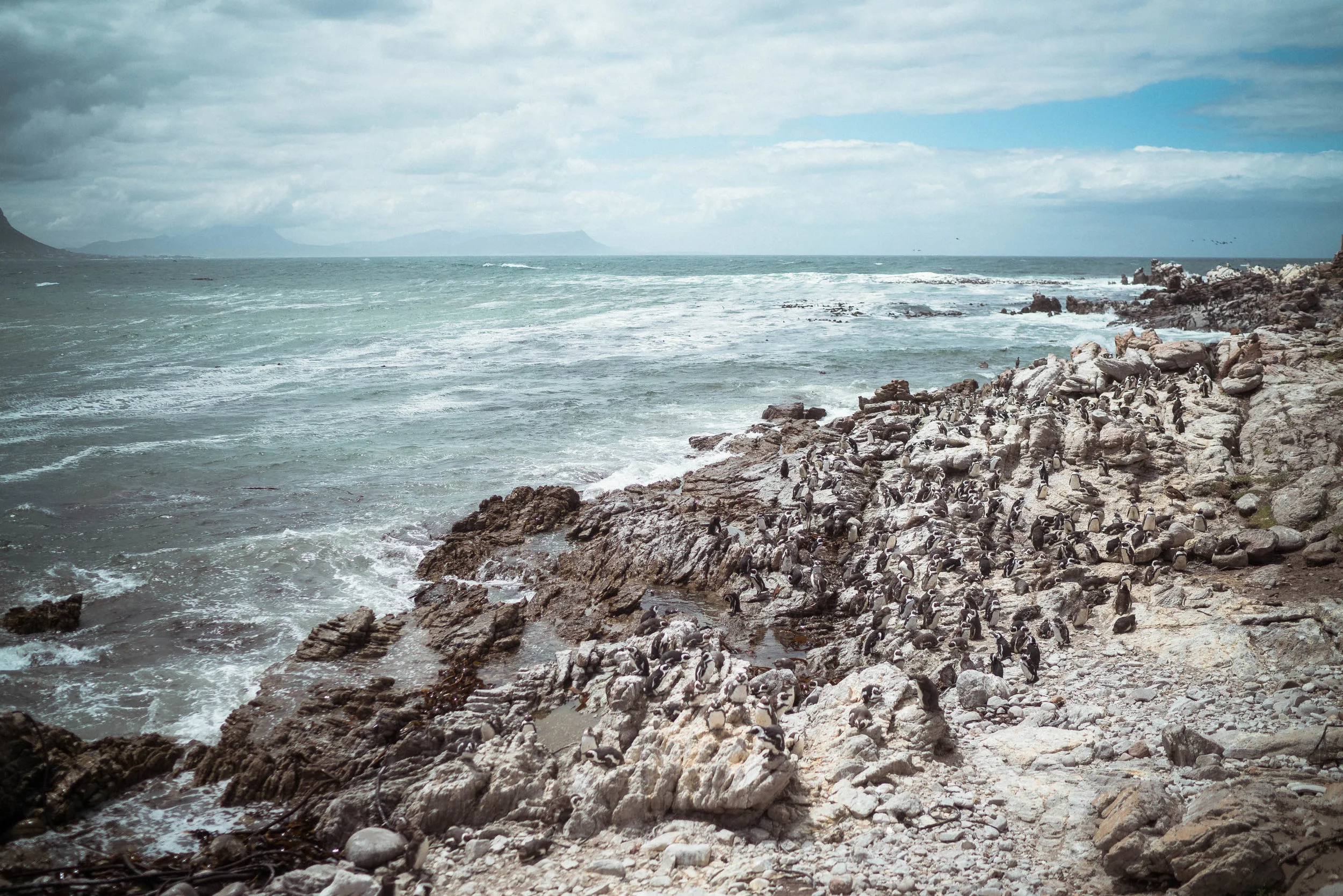 capetown_web-110.jpg