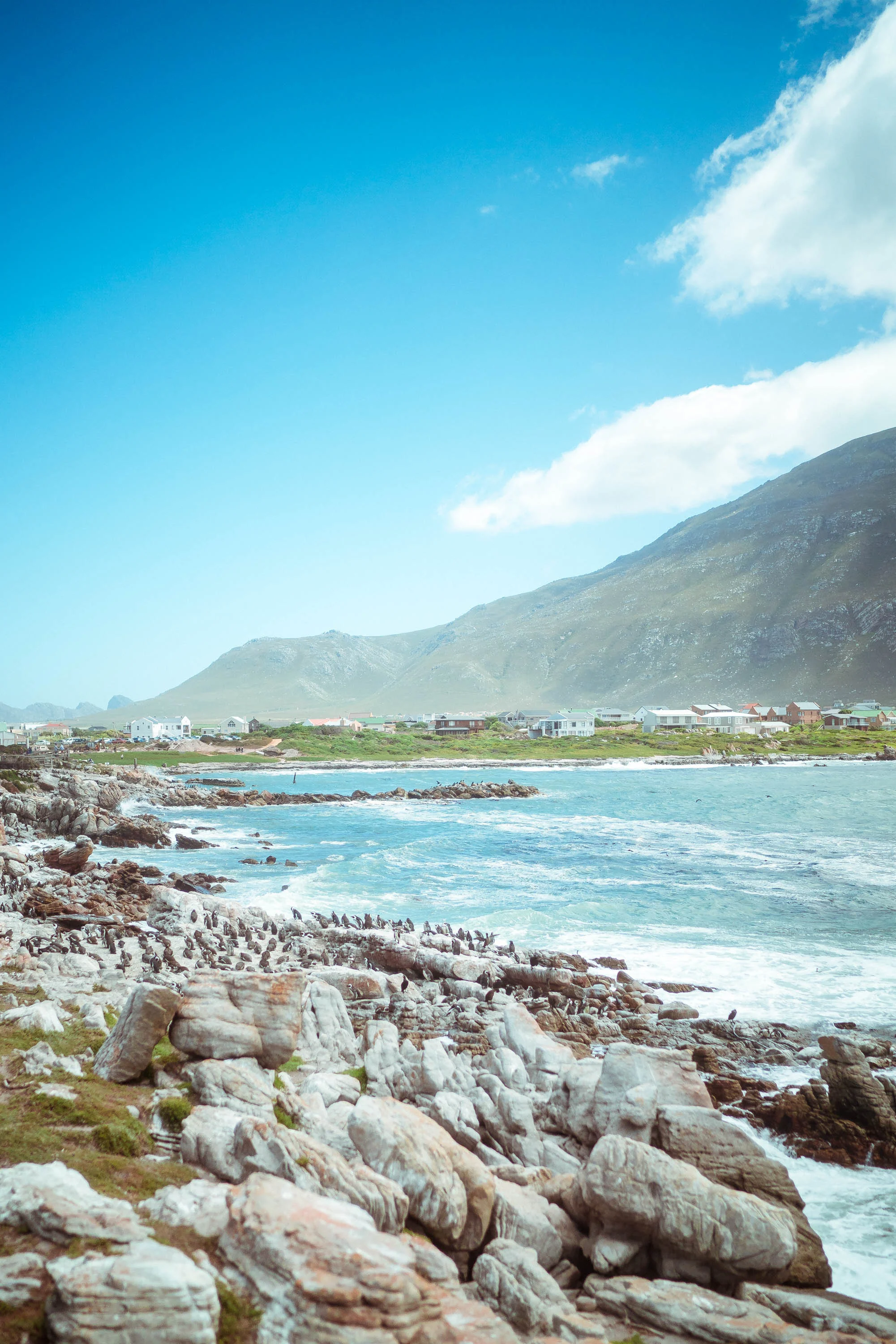 capetown_web-112.jpg