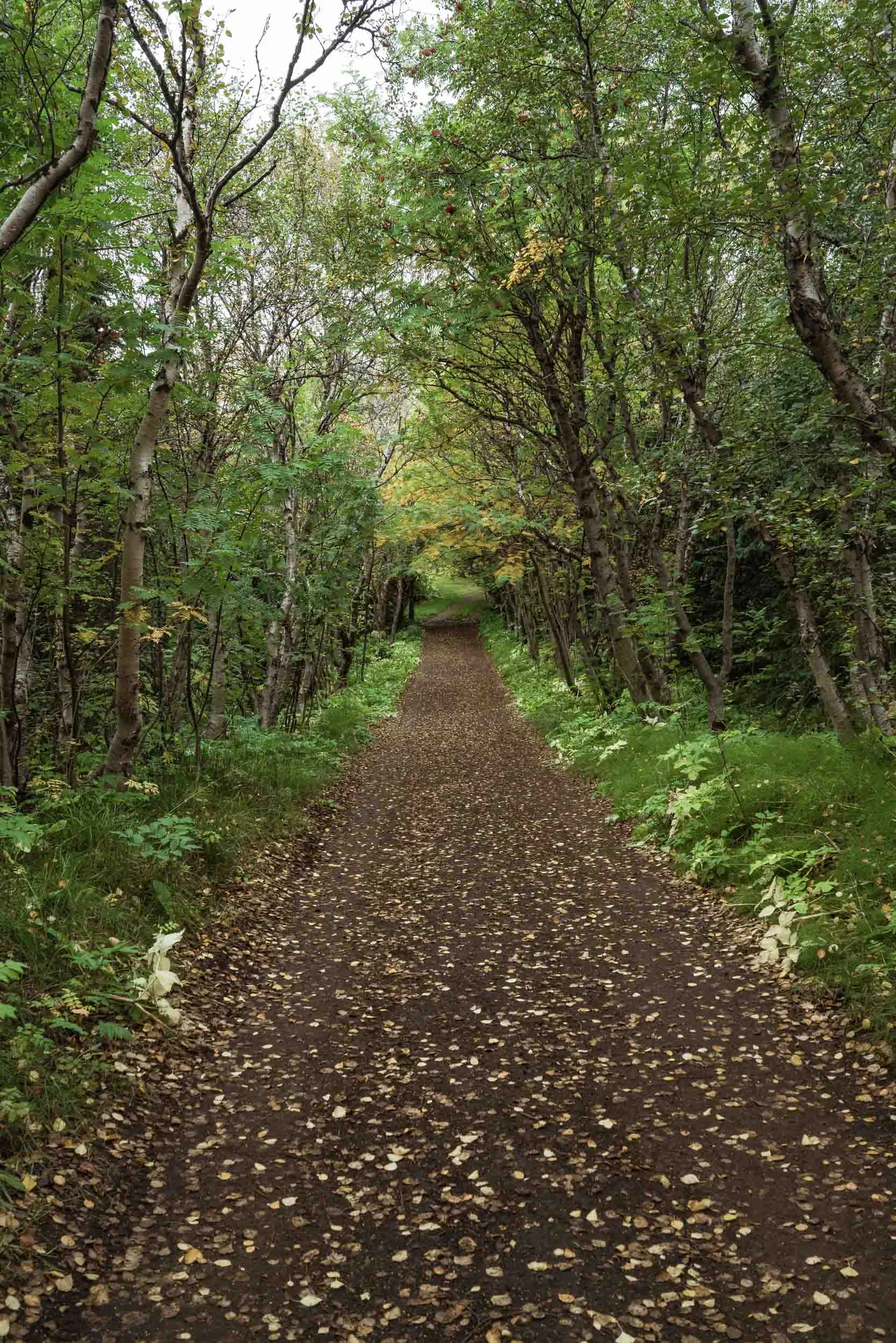 iceland_web-74.jpg