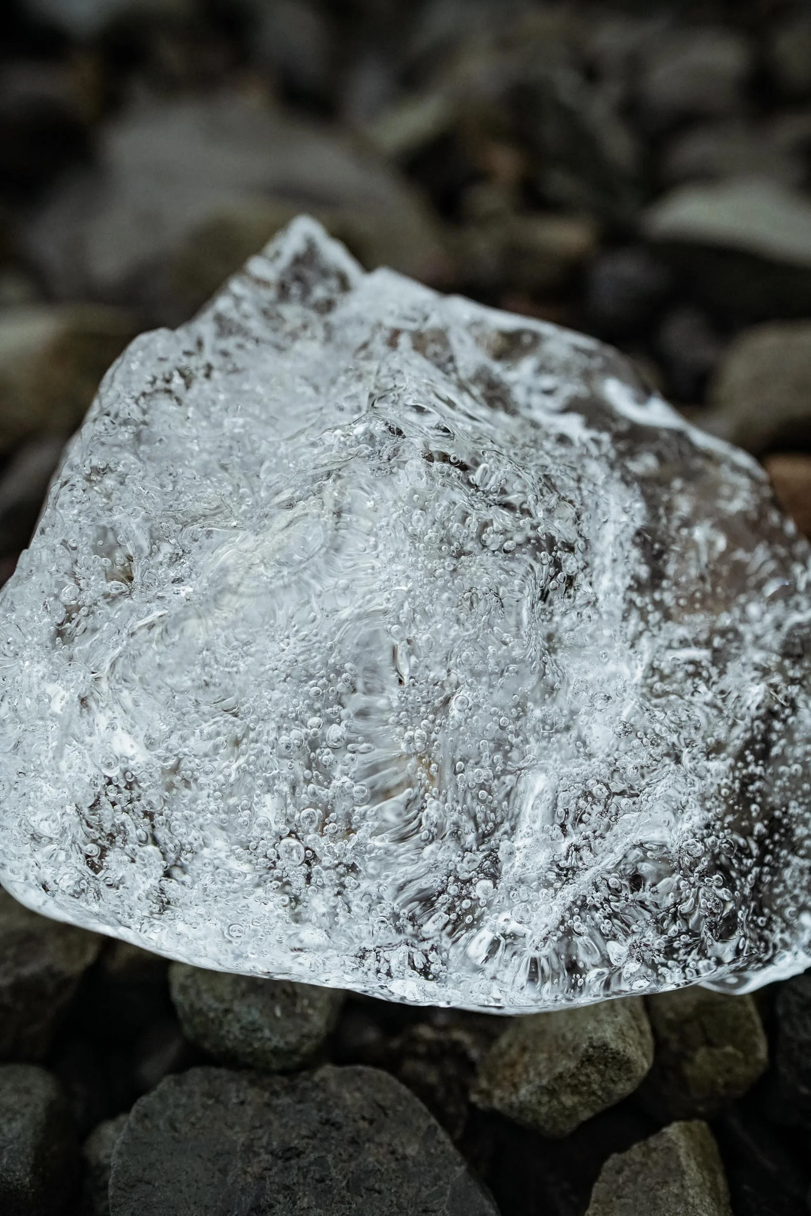 iceland_web-162.jpg
