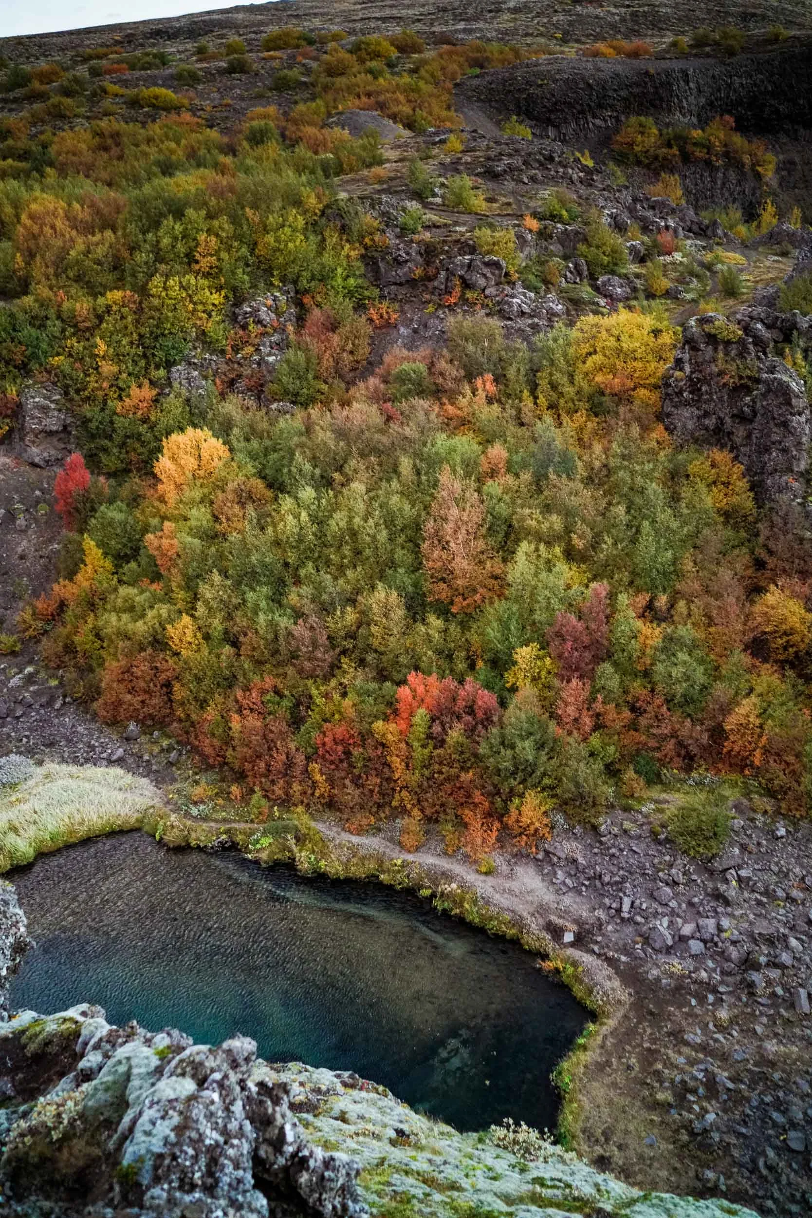 iceland_web-228.jpg