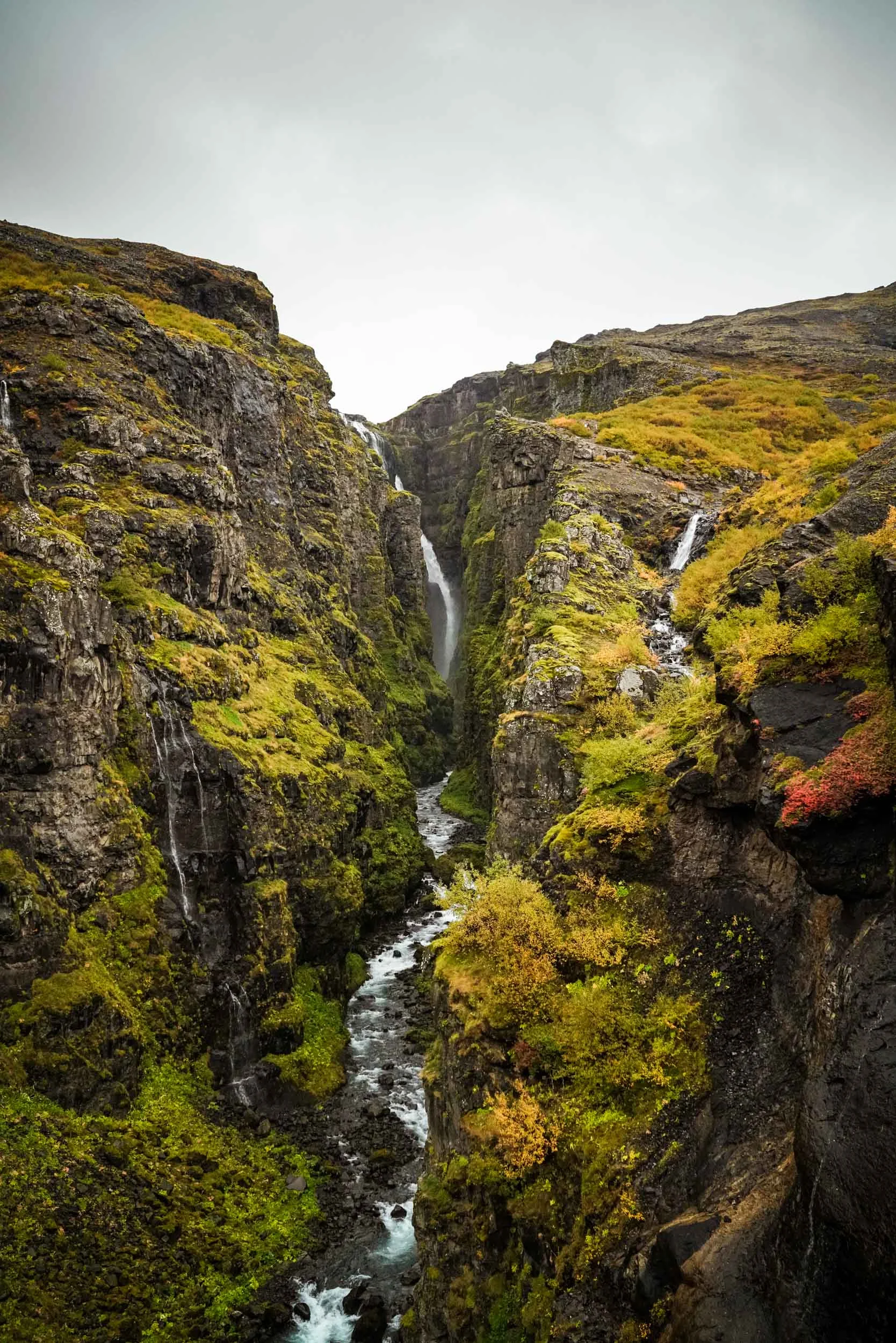iceland_web-234.jpg